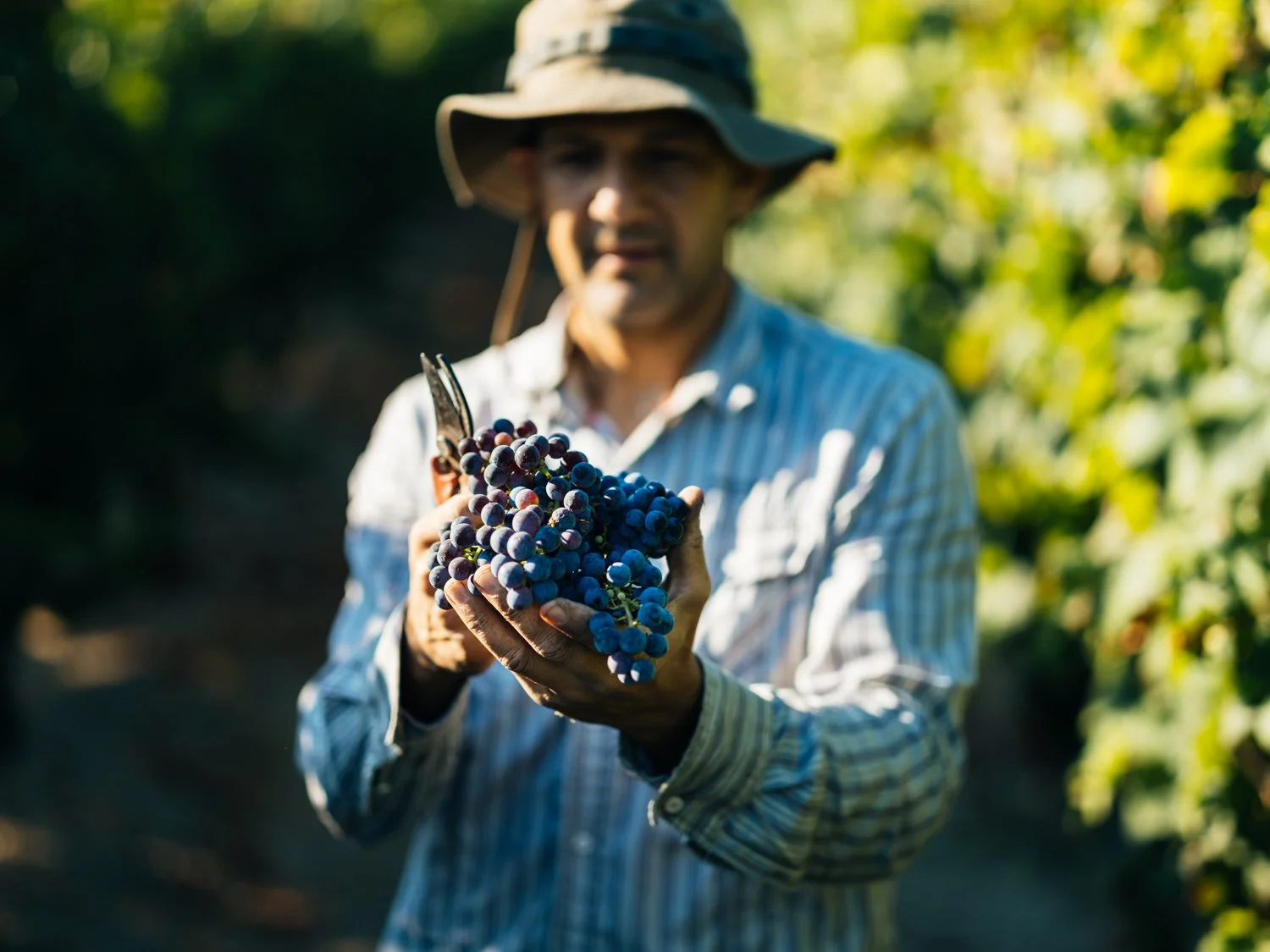 MAK_Harvest_August2026__058.jpg