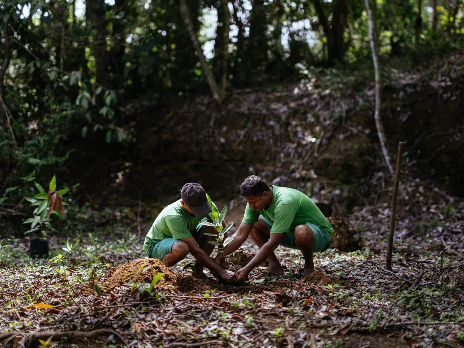 Project_HogDeer_LunugangaTrust_SR_20260704_20260704_085.jpg