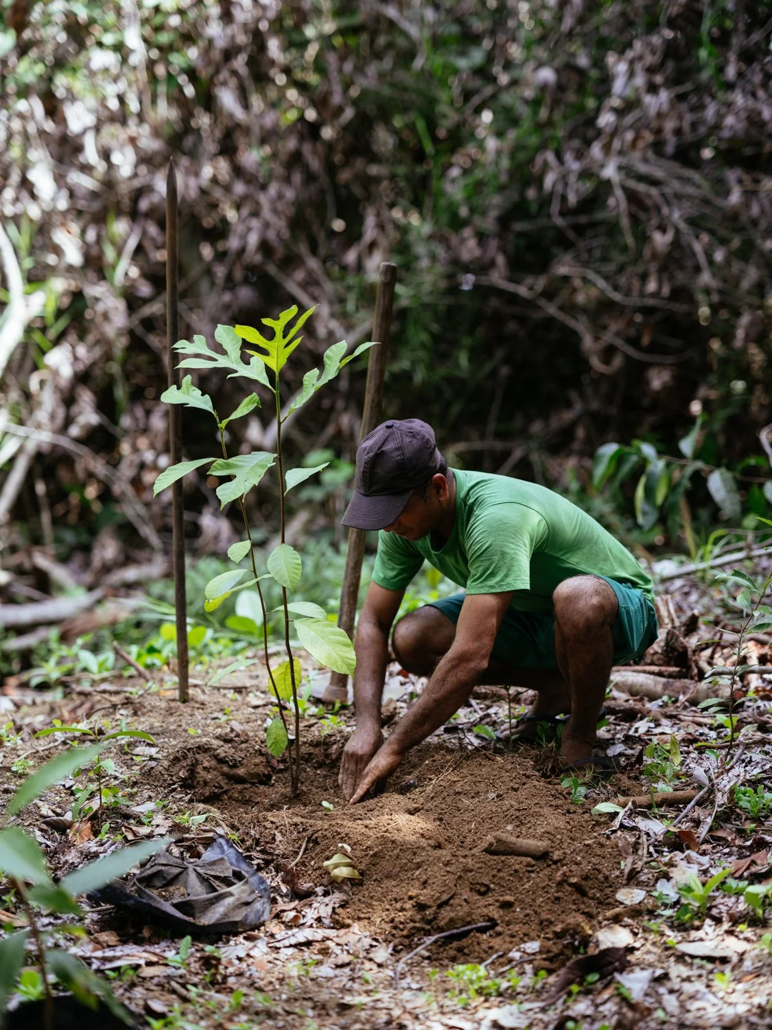 Project_HogDeer_LunugangaTrust_SR_20260704_20260704_098.jpg