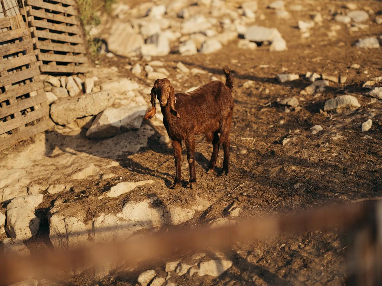 Makarounas_May2026_SR_192.jpg