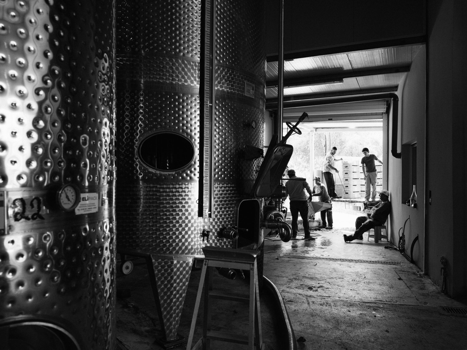 MAK_Harvest_August2026__123_B&W1500px.jpg