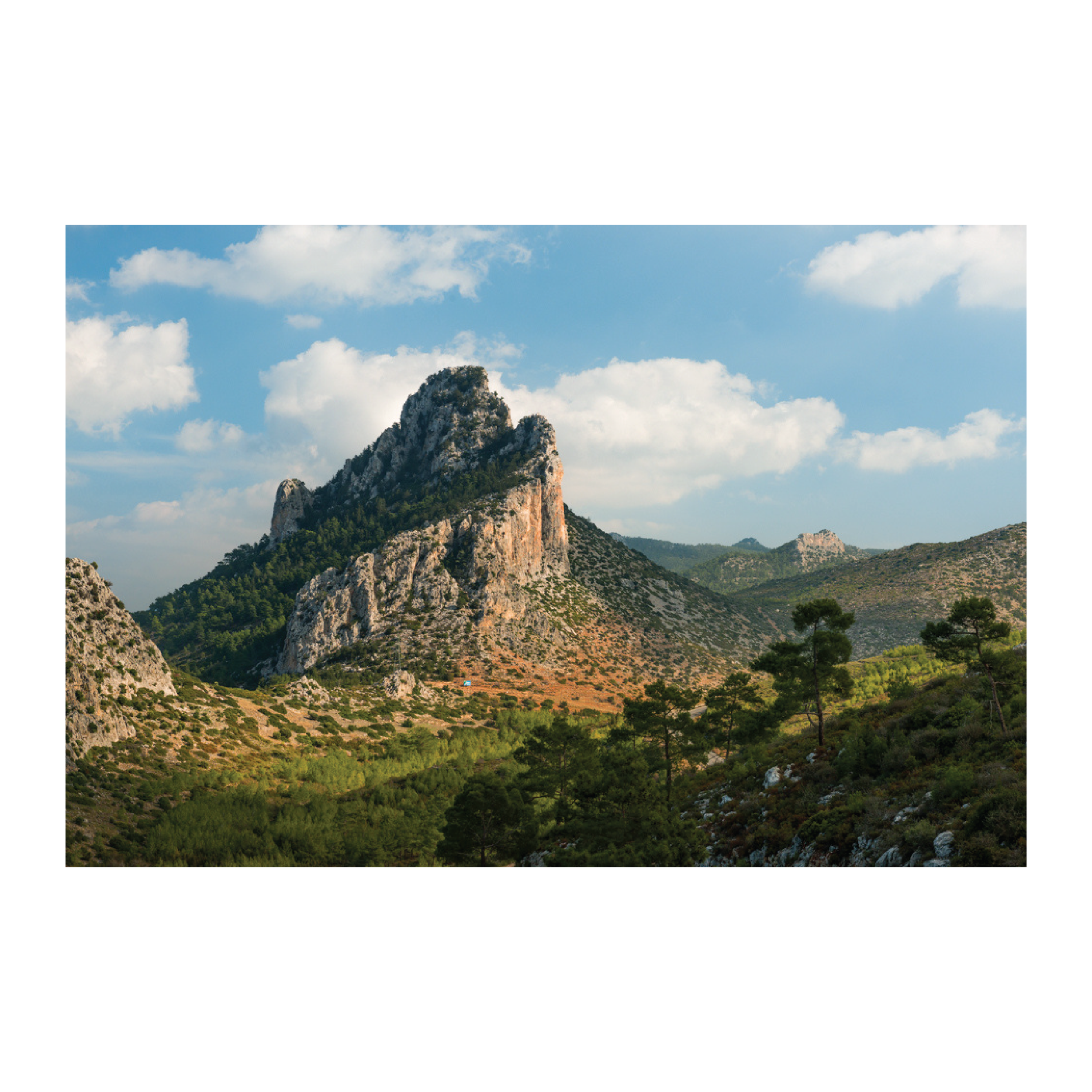 g_silvio_print_collection-14.png