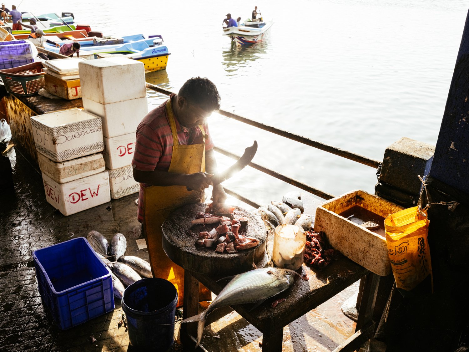 Project_ResponsibleSeafoodGuide_SR_20260703_028.jpg