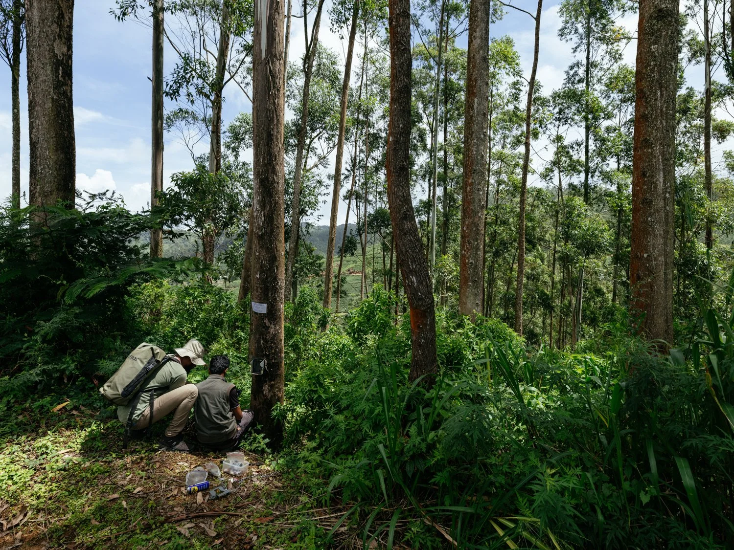Project_CorridorsforConservation_SR_20260628_137.jpg