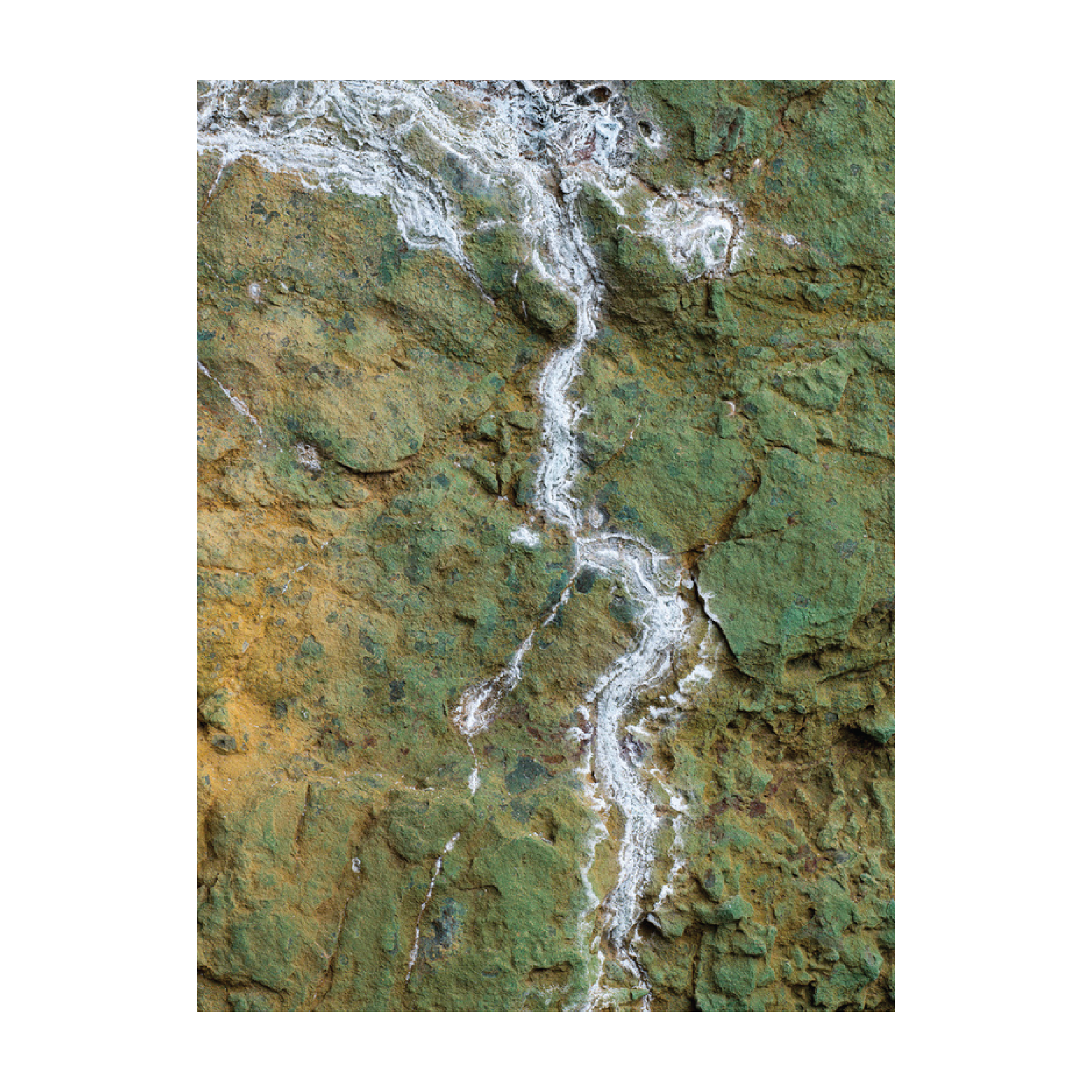 g_silvio_print_collection-05.png