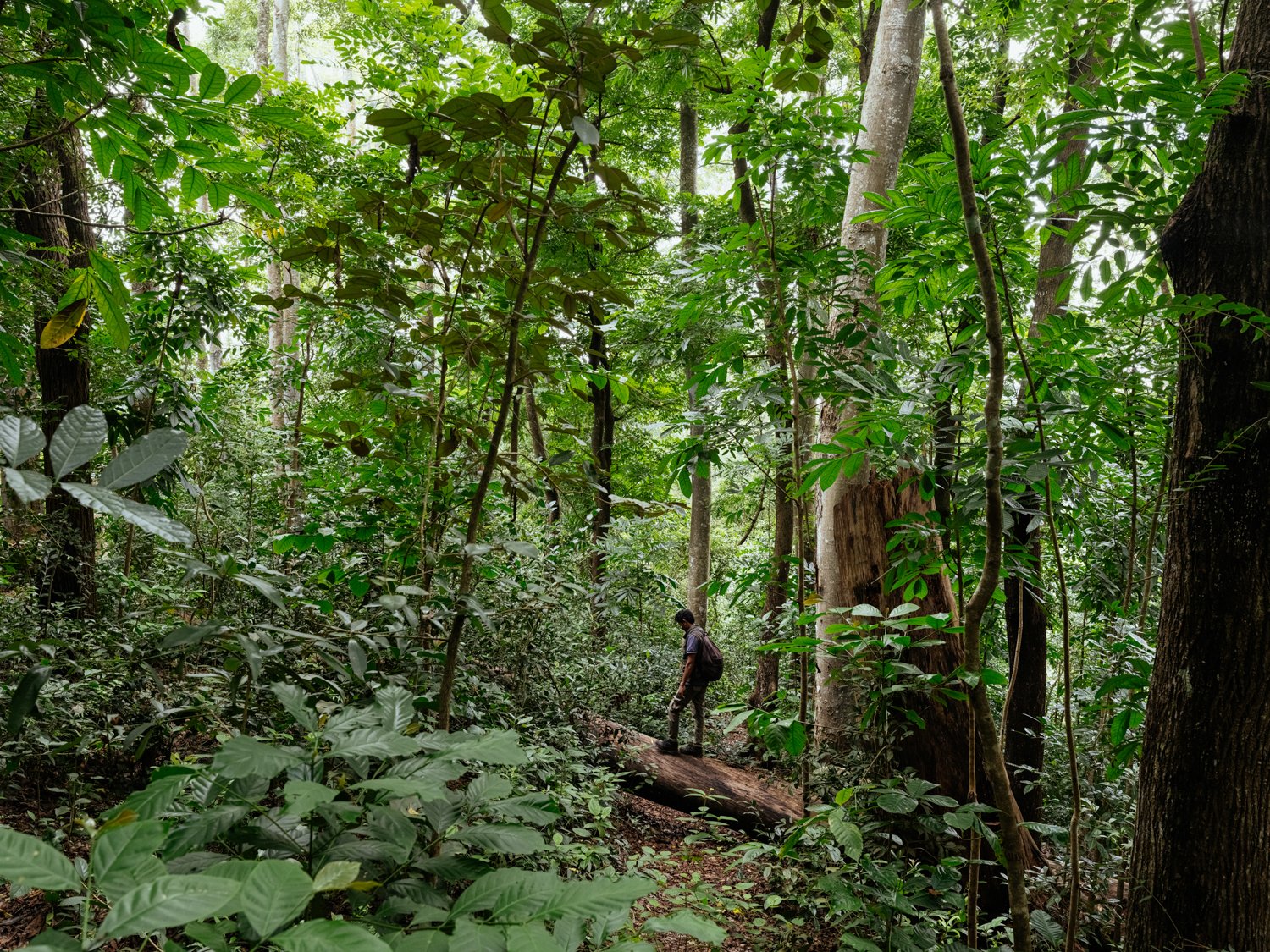 Project_CorridorsforConservation_SR_20260630_172.jpg