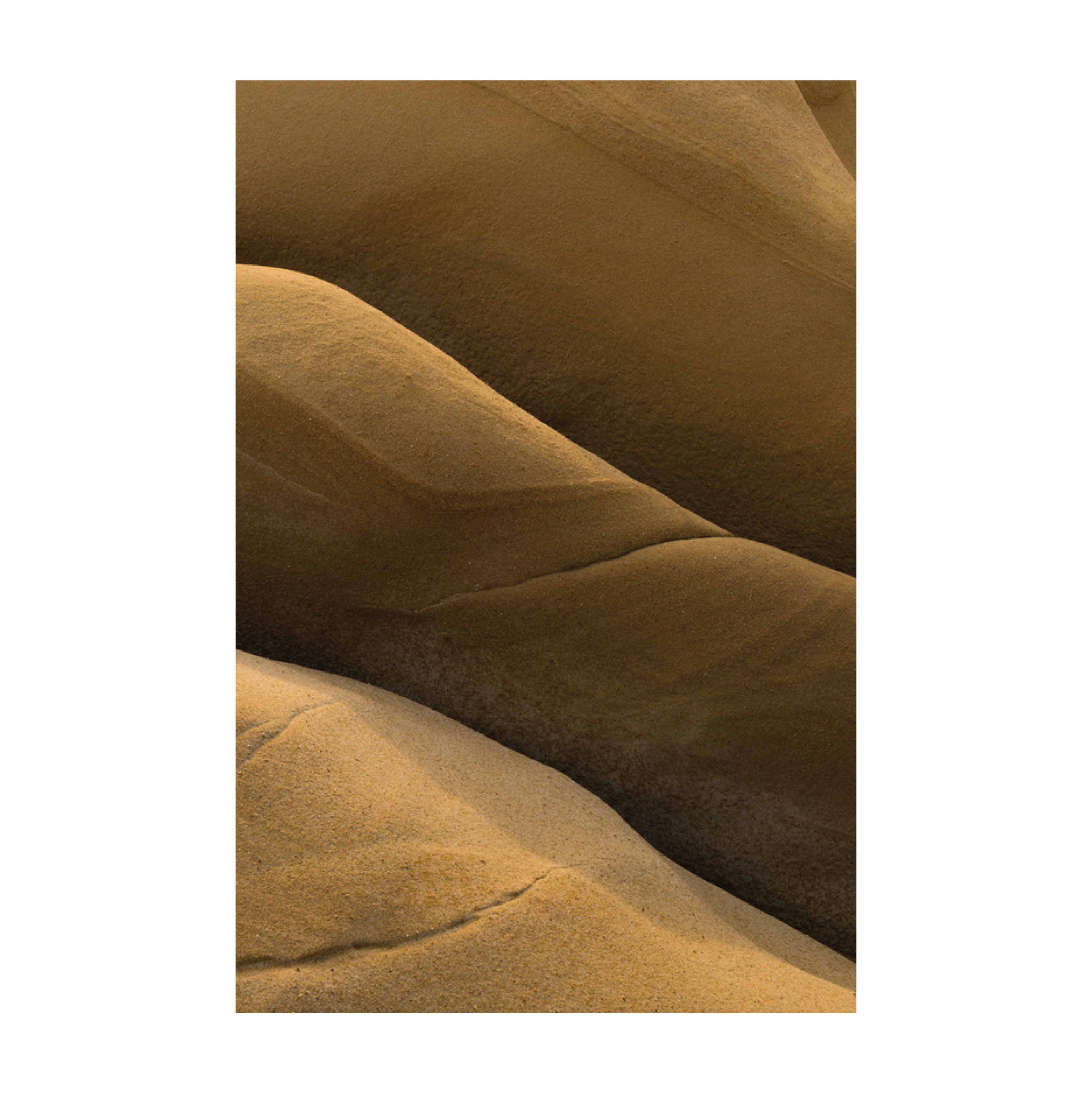 g_silvio_print_collection-10.png