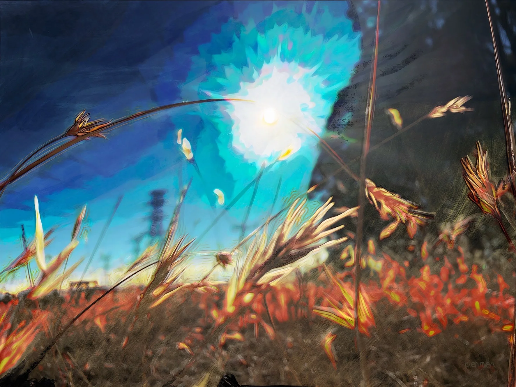 Poatina Tasmania, Outside the Glass Studios - morning light on the grasses outside - an ants eye view of the day begun. The power wires have faded on this rendering not sure if I want to add them back or just be happy as it is. The layed flares make 