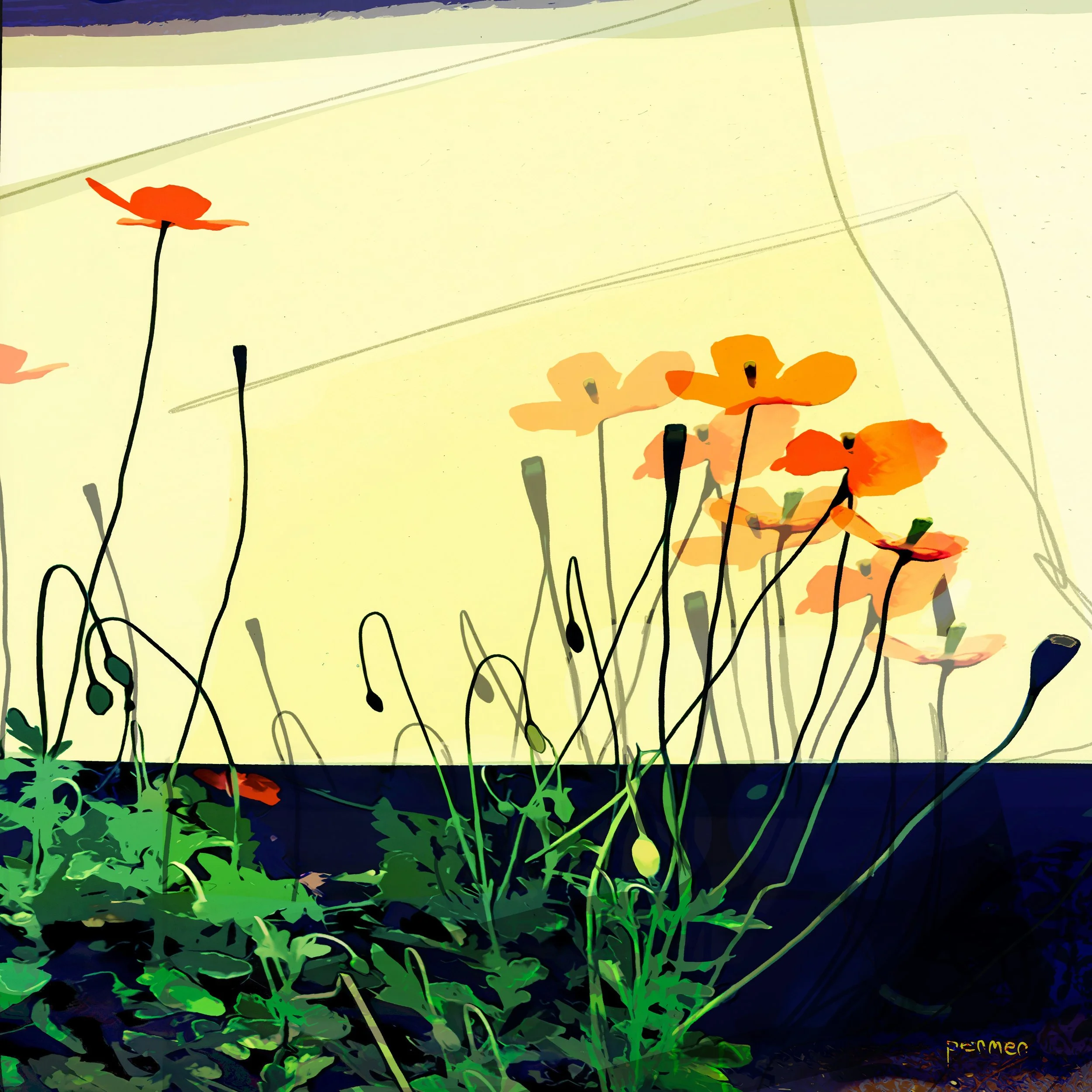 Kingy Poes Poppies 
