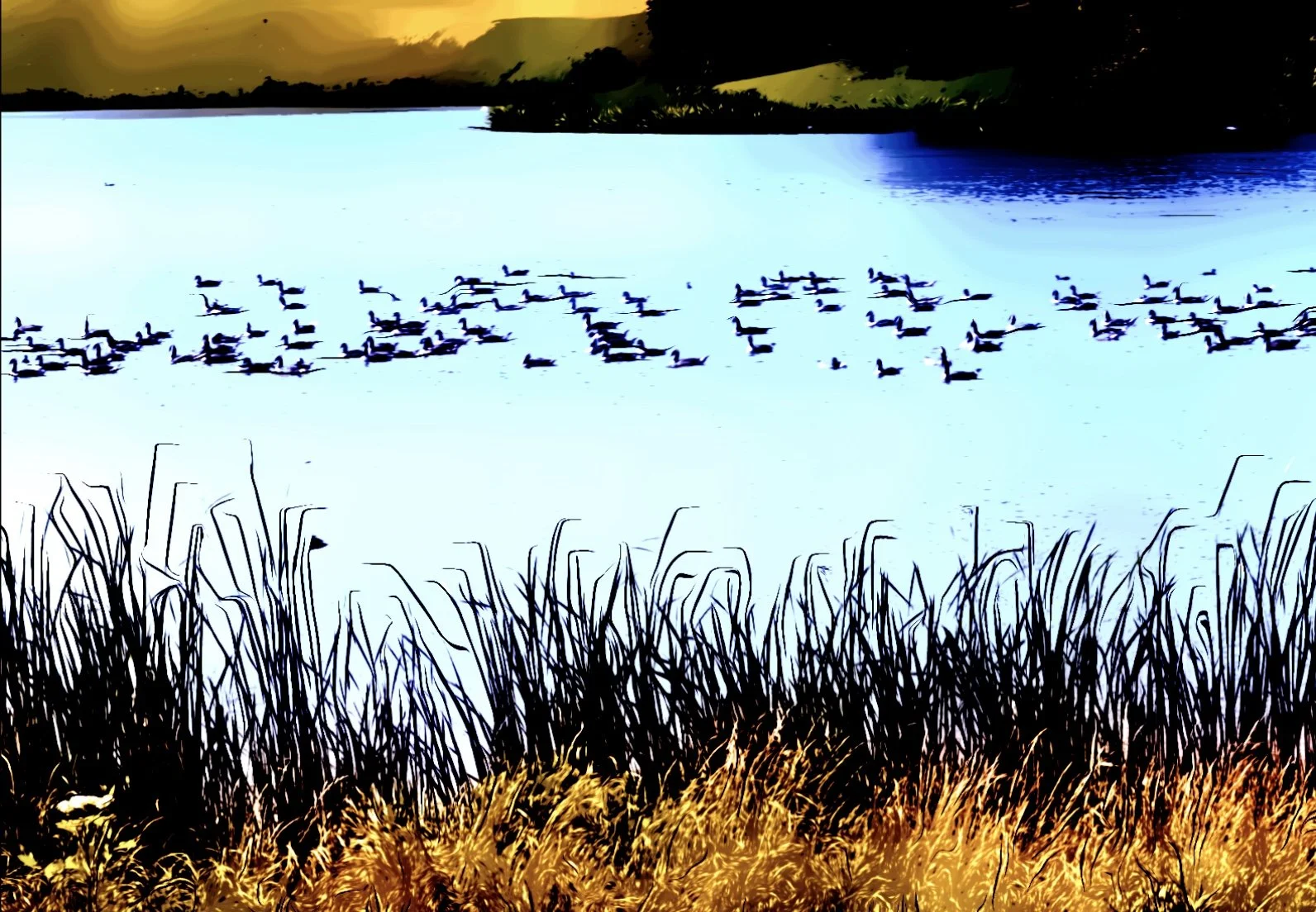 Blenheim_Park_Geese_and_Water-06-23_at_13.41.46.jpg