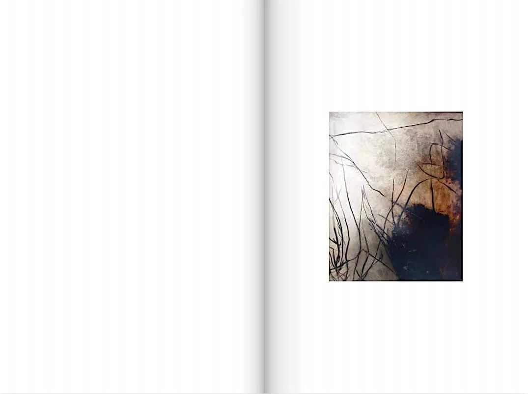 ayessha-quraishi-2020BKM-monograph-between-light-1985-2020-flip-book-page-46,47–2020.jpg