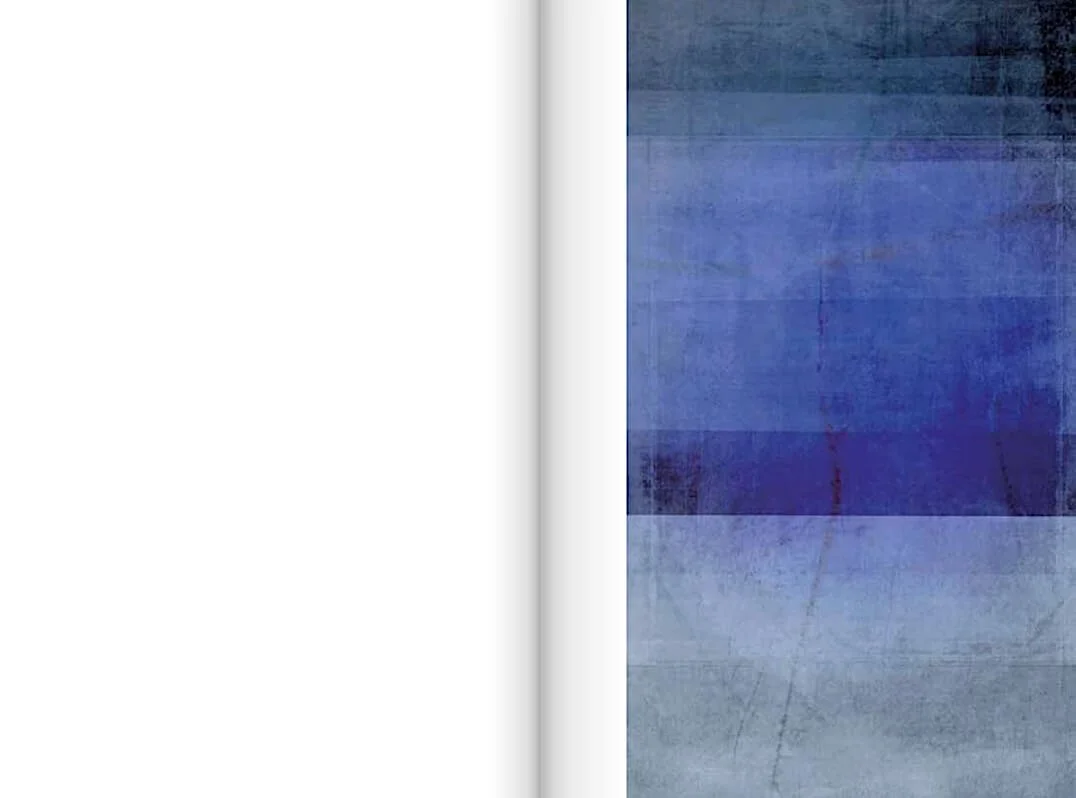 ayessha-quraishi-2020BKM-monograph-between-light-1985-2020-flip-book-page-86,87–2020.jpg