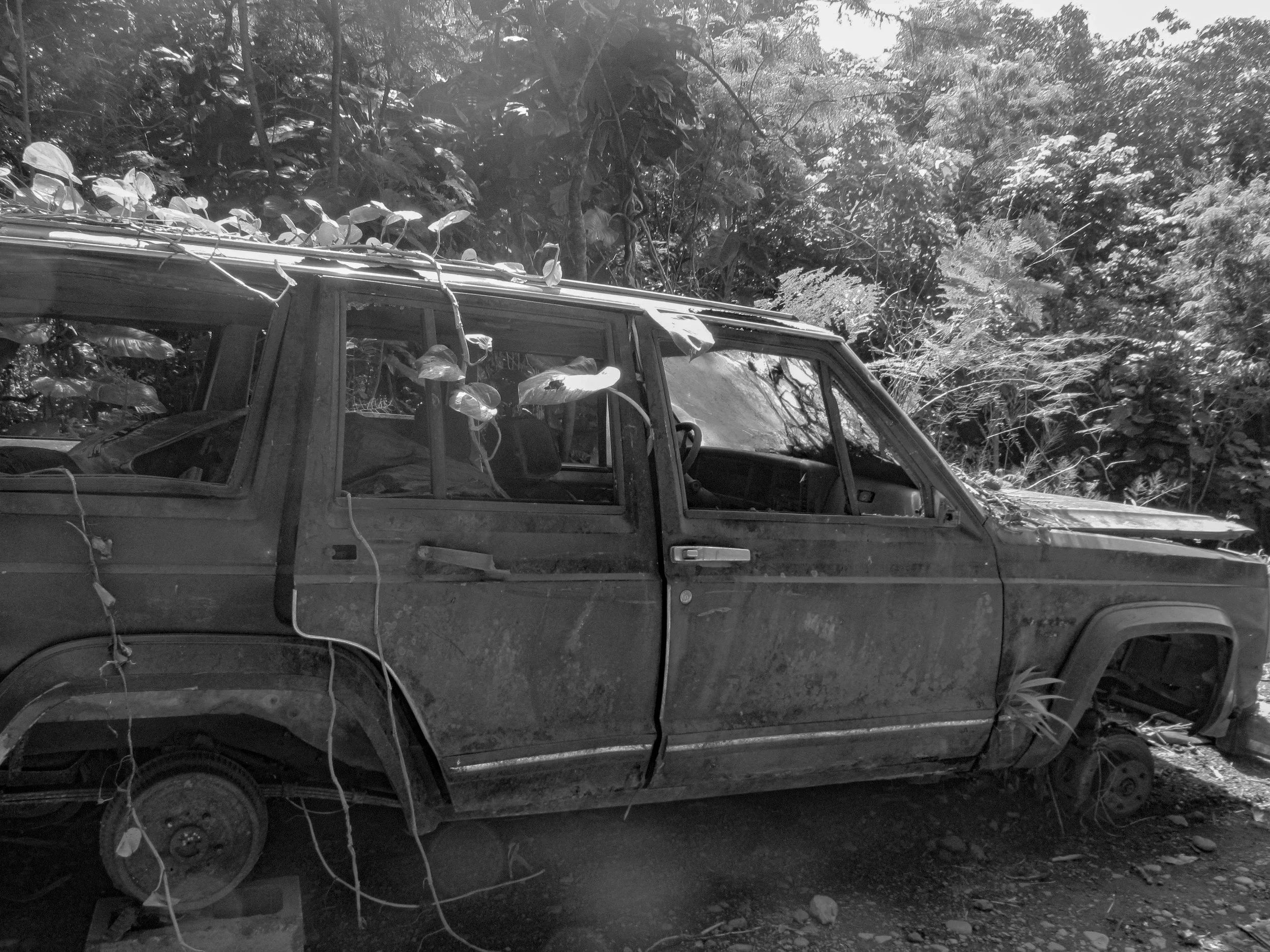 Black and white abandoned Jeep in Maui jungle wall art featuring overgrown vehicle and textured decay for industrial and modern decor
