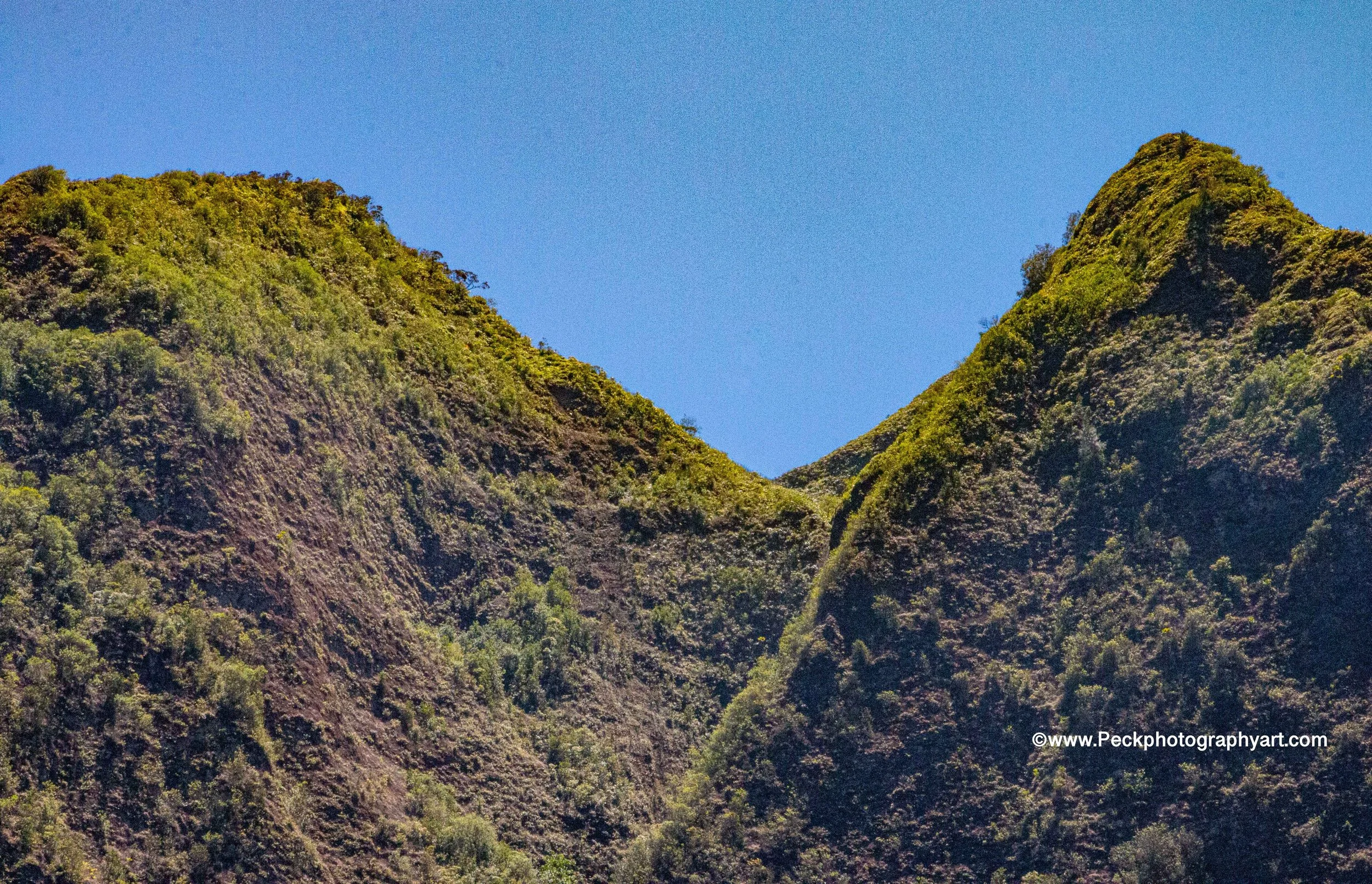 Green mountains with dense vegetation under a clear blue sky.