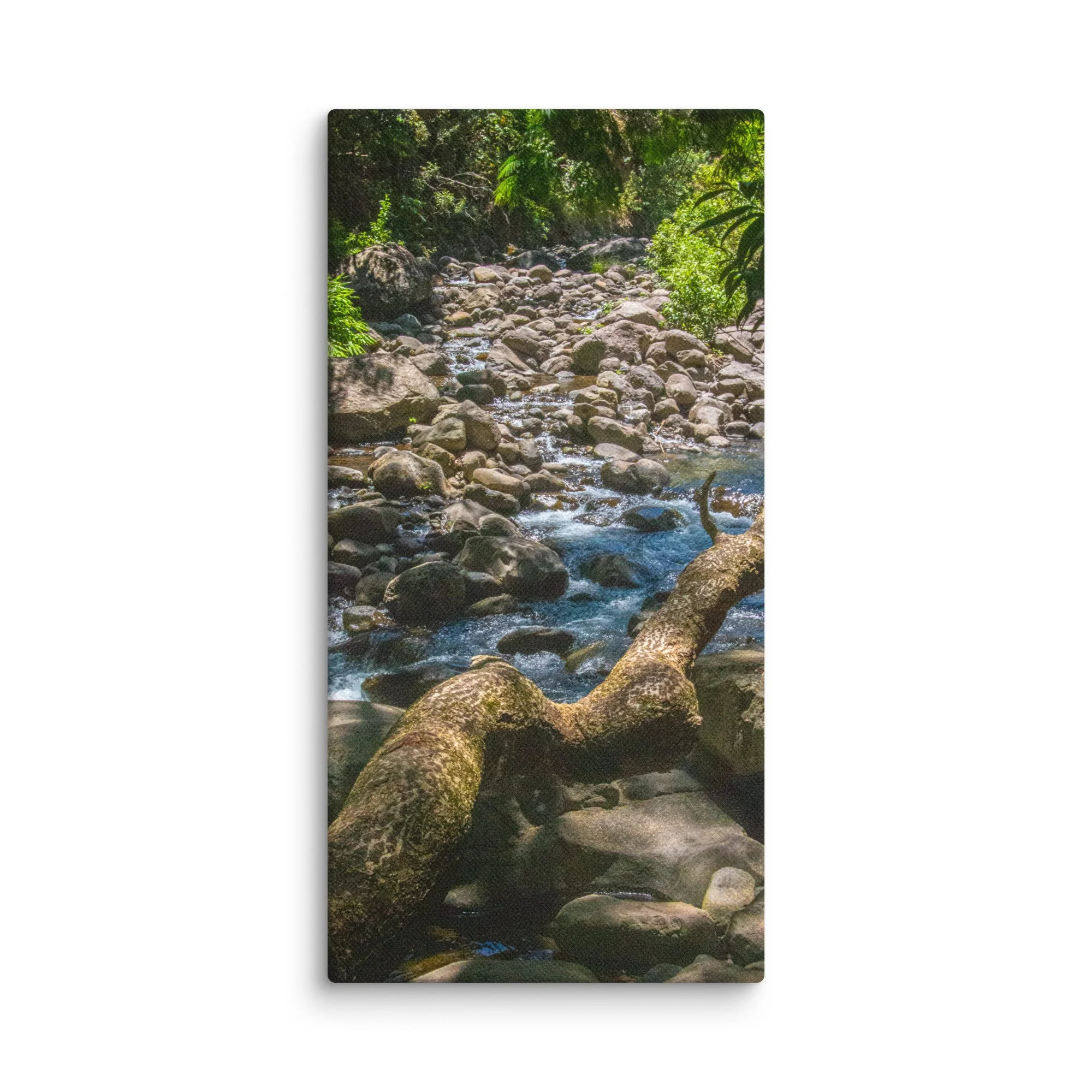 ʻĪao Valley River | ʻĪao Valley Maui Canvas Wall Art | Original Maui ...