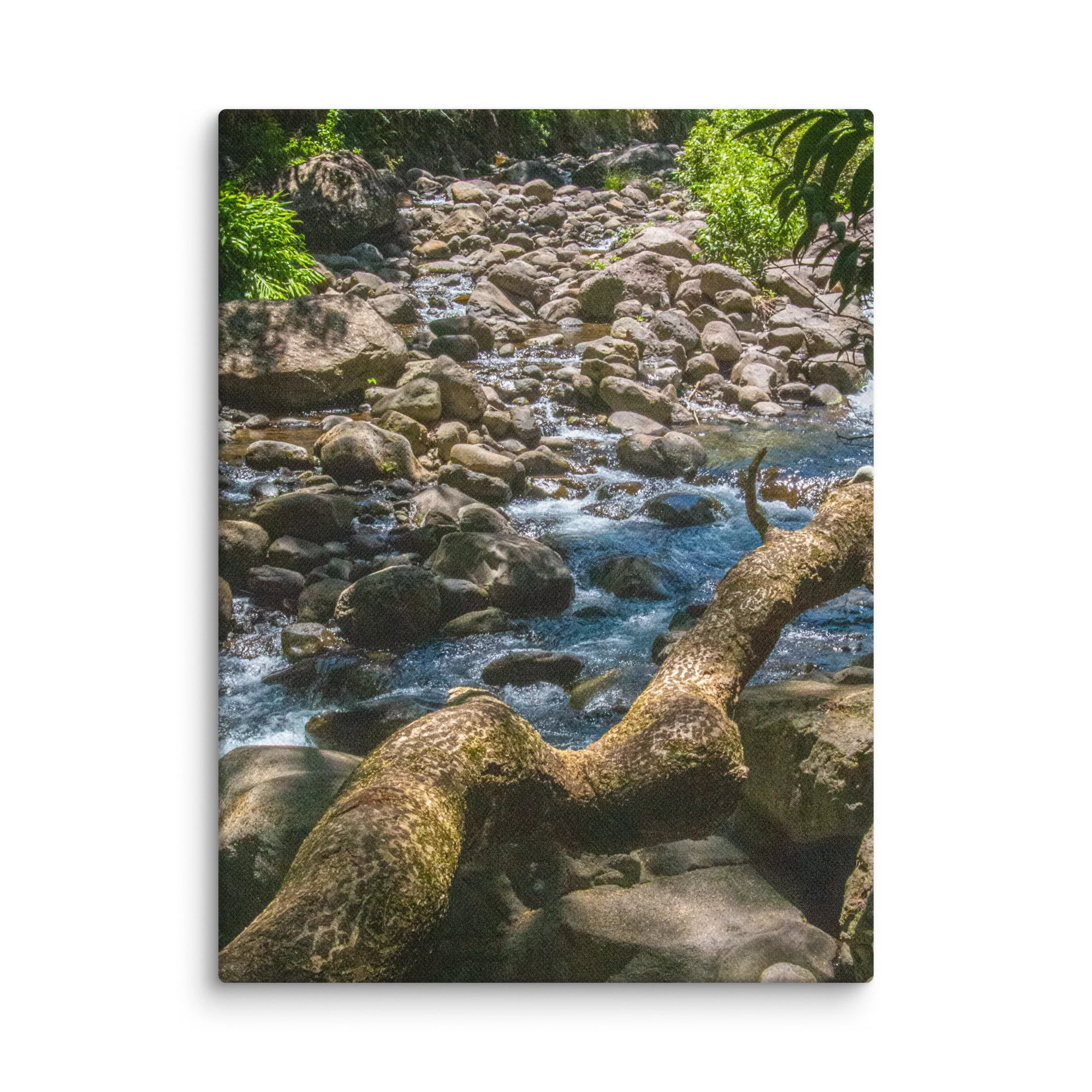 ʻĪao Valley River | ʻĪao Valley Maui Canvas Wall Art | Original Maui ...