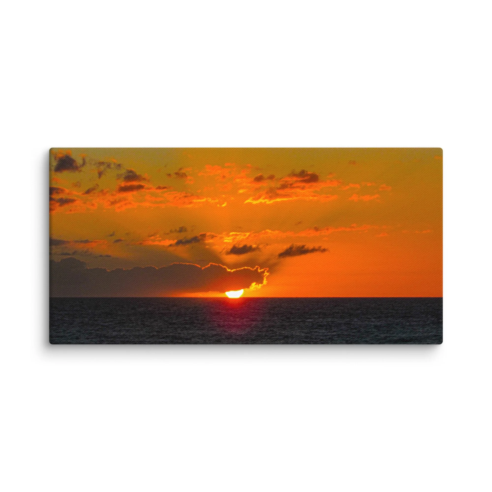 canvas-(in)-10x20-wall-68b496582f11d.jpg