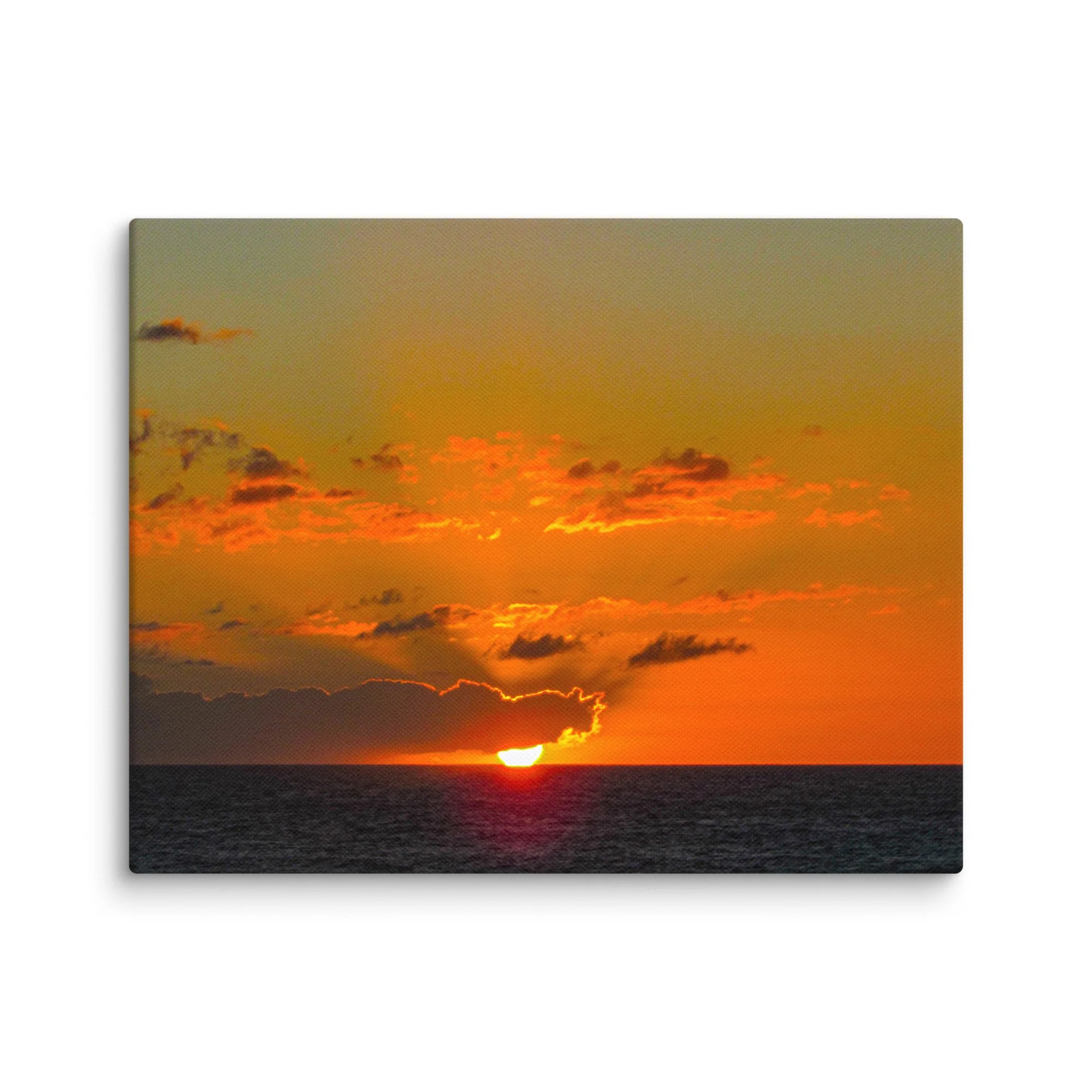 canvas-(in)-11x14-wall-68b496583007b.jpg