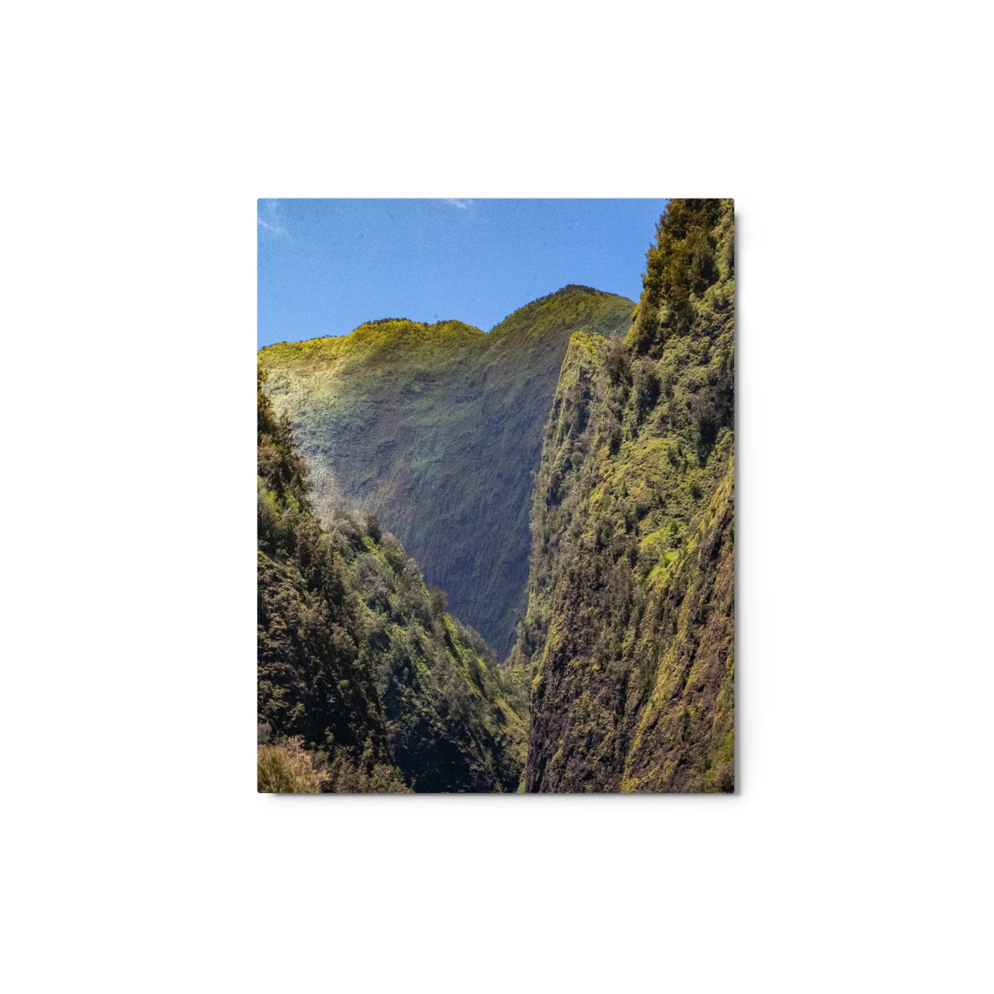 glossy-metal-print-(in)-white-8x10-front-68b49f2420bb3.jpg