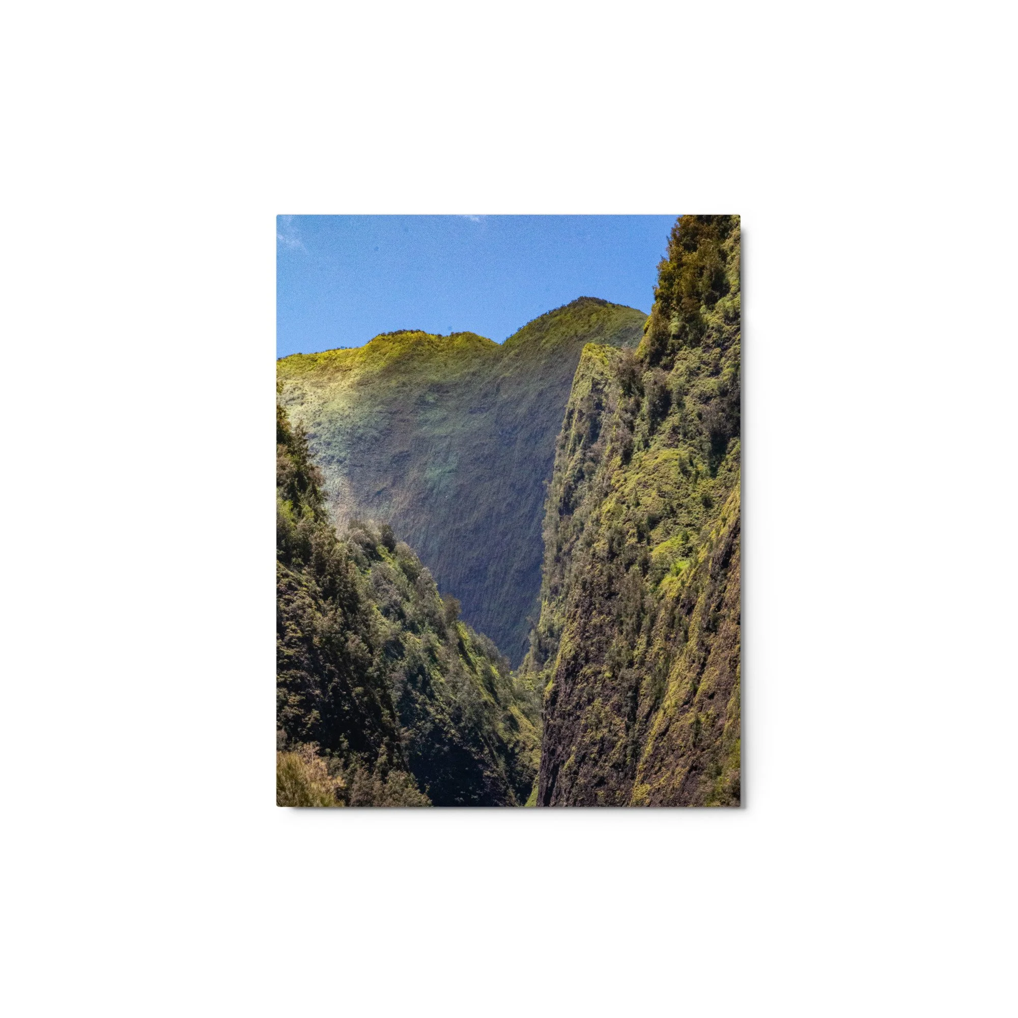 glossy-metal-print-(in)-white-11x14-front-68b49f2421096.jpg