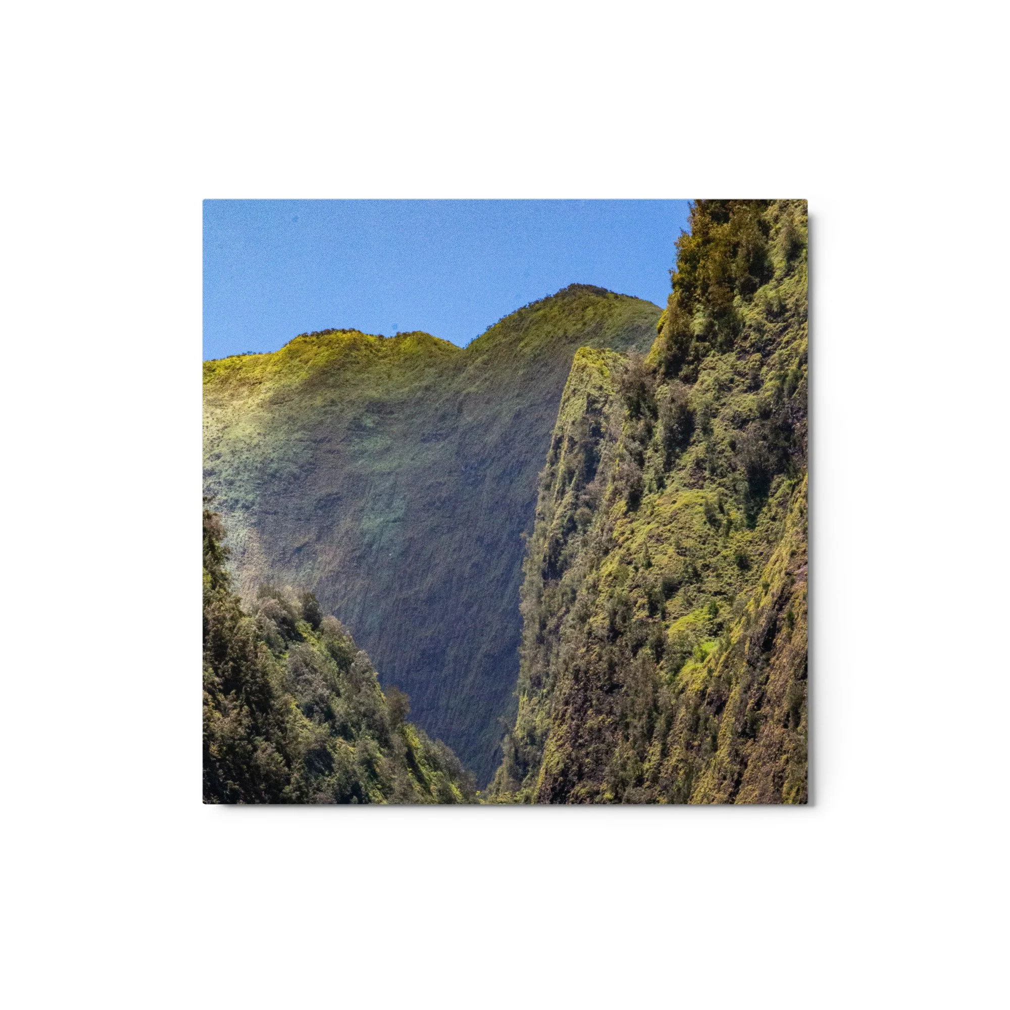 glossy-metal-print-(in)-white-12x12-front-68b49f242111c.jpg