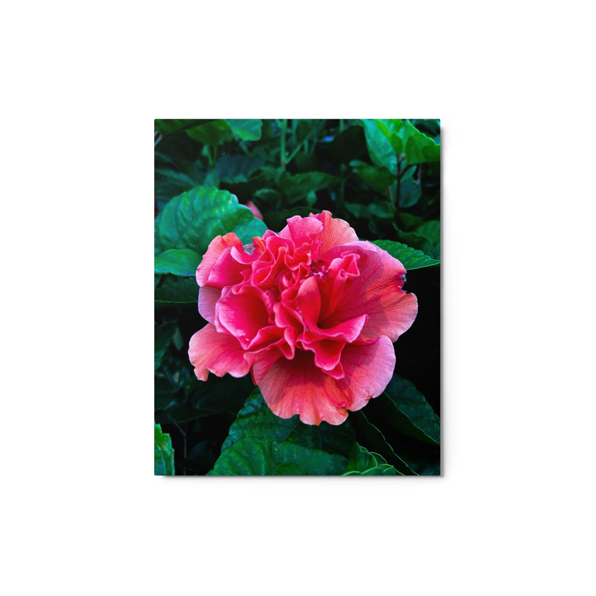 glossy-metal-print-(in)-white-8x10-front-68b4a2672a178.jpg
