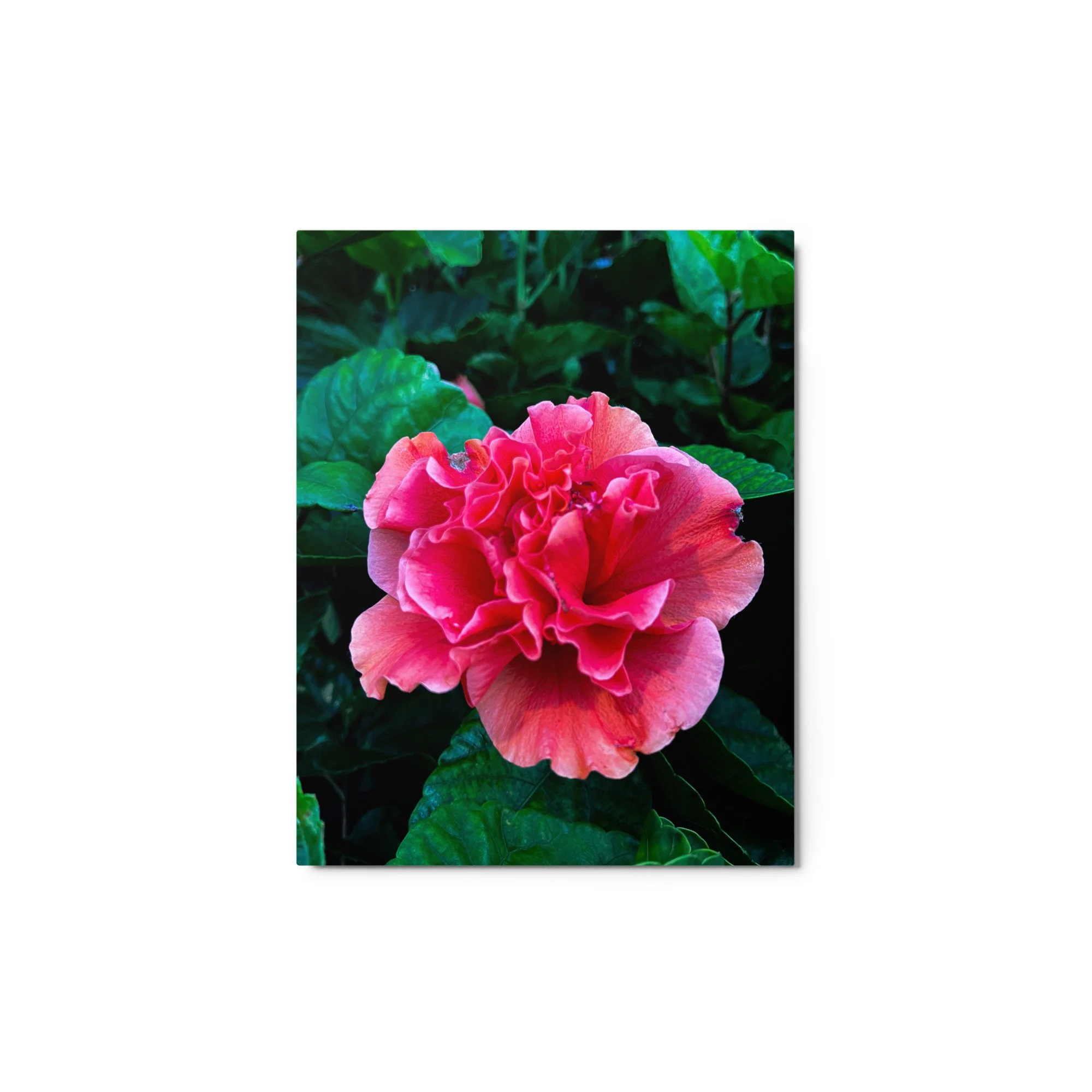 glossy-metal-print-(in)-white-11x14-front-68b4a2672a278.jpg