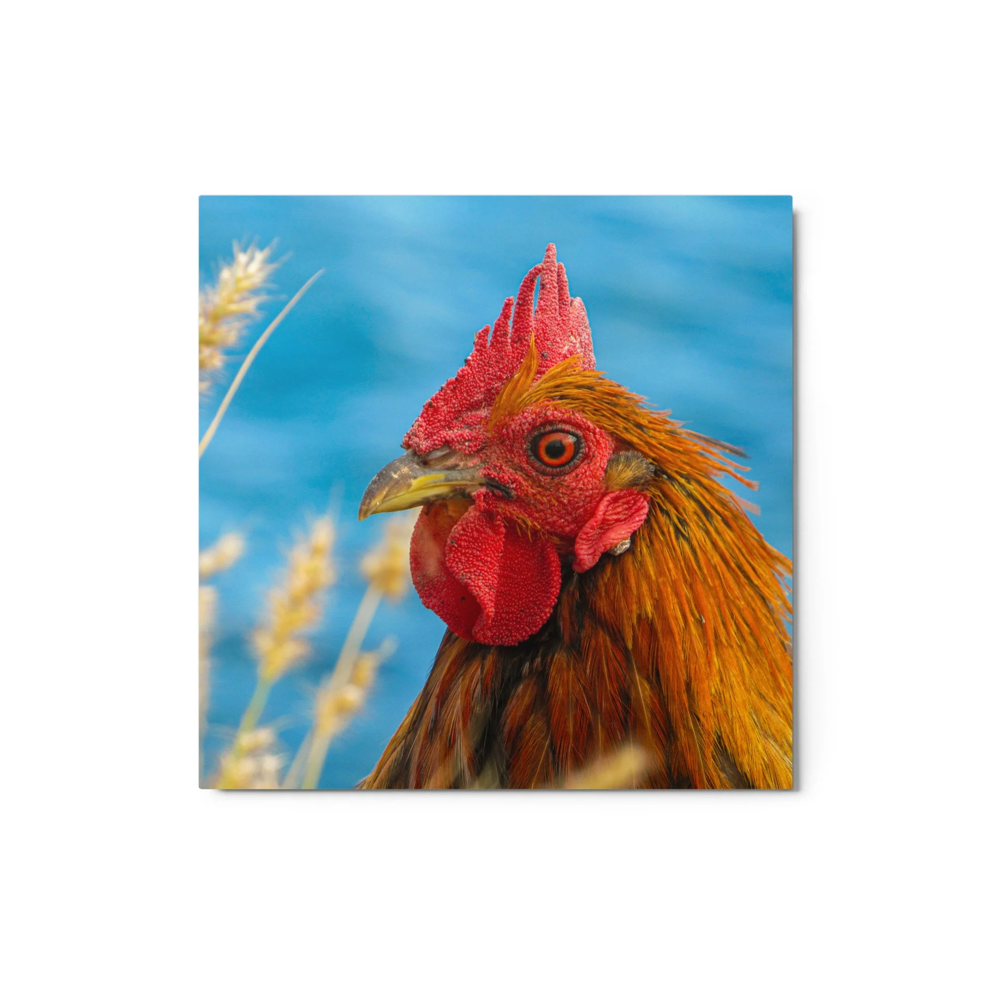 glossy-metal-print-(in)-white-12x12-front-68b9dc0069035.jpg