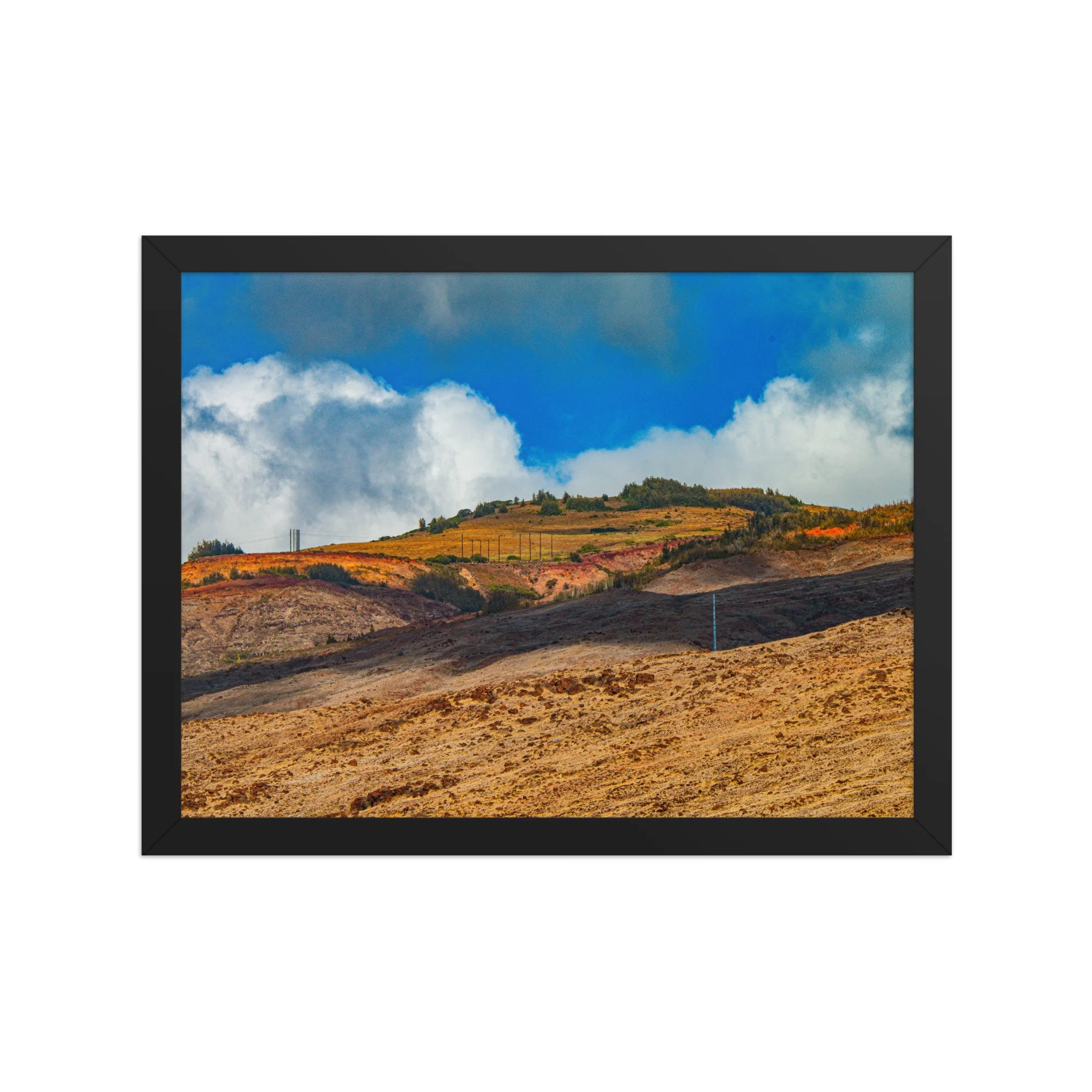 enhanced-matte-paper-framed-poster-(in)-black-12x16-front-68bce2247f781.jpg