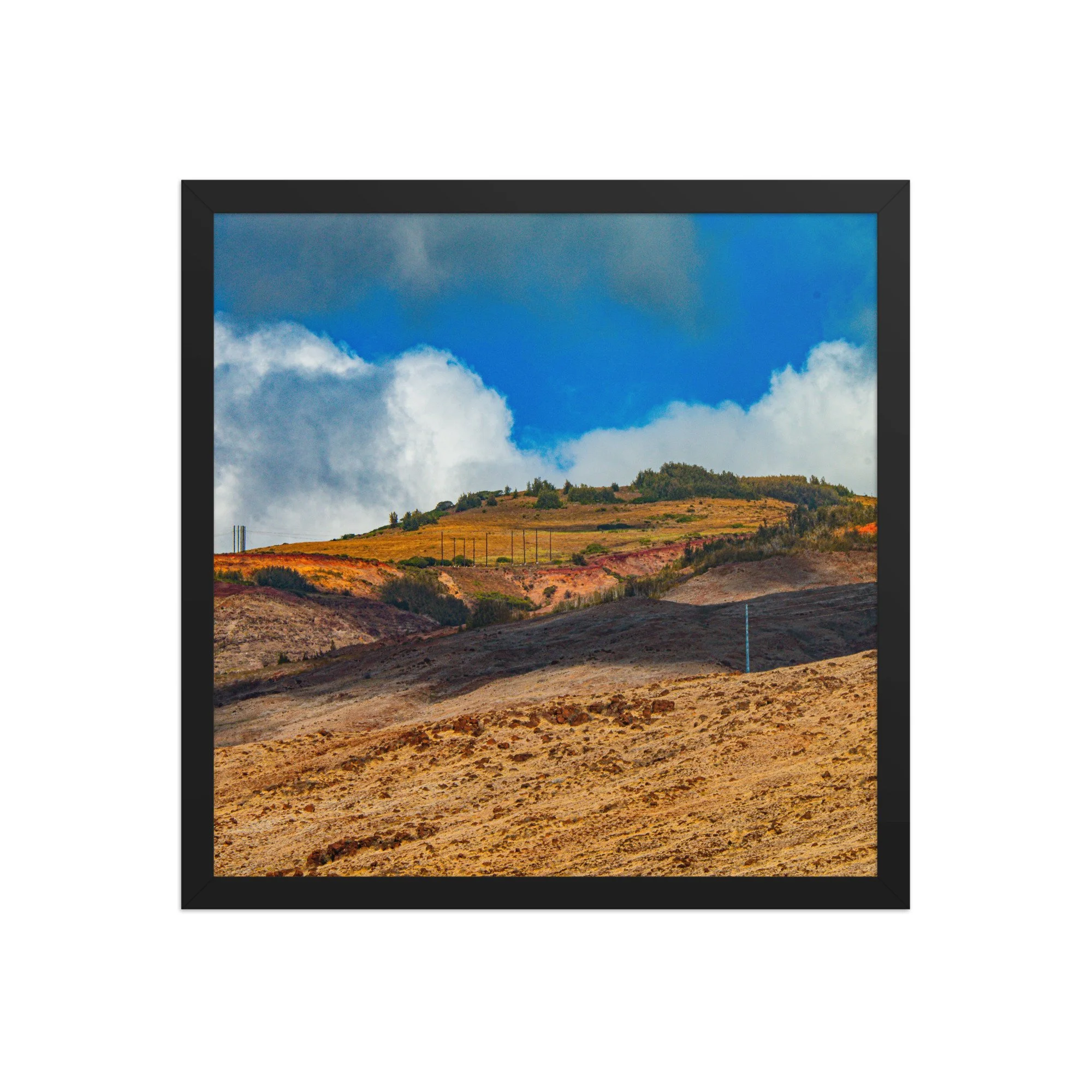enhanced-matte-paper-framed-poster-(in)-black-16x16-front-68bce2247f938.jpg