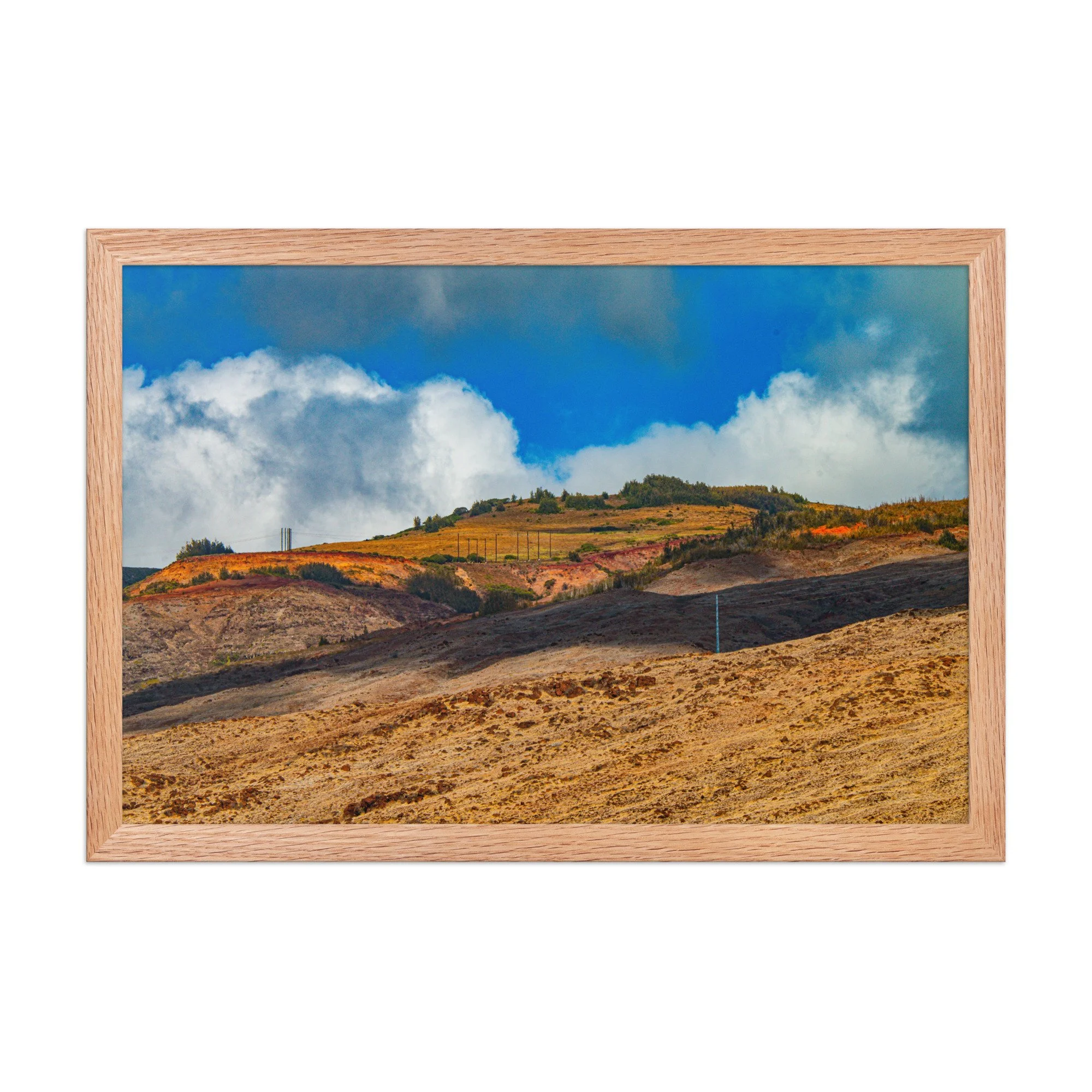 enhanced-matte-paper-framed-poster-(in)-red-oak-12x18-front-68bce2247fec0.jpg