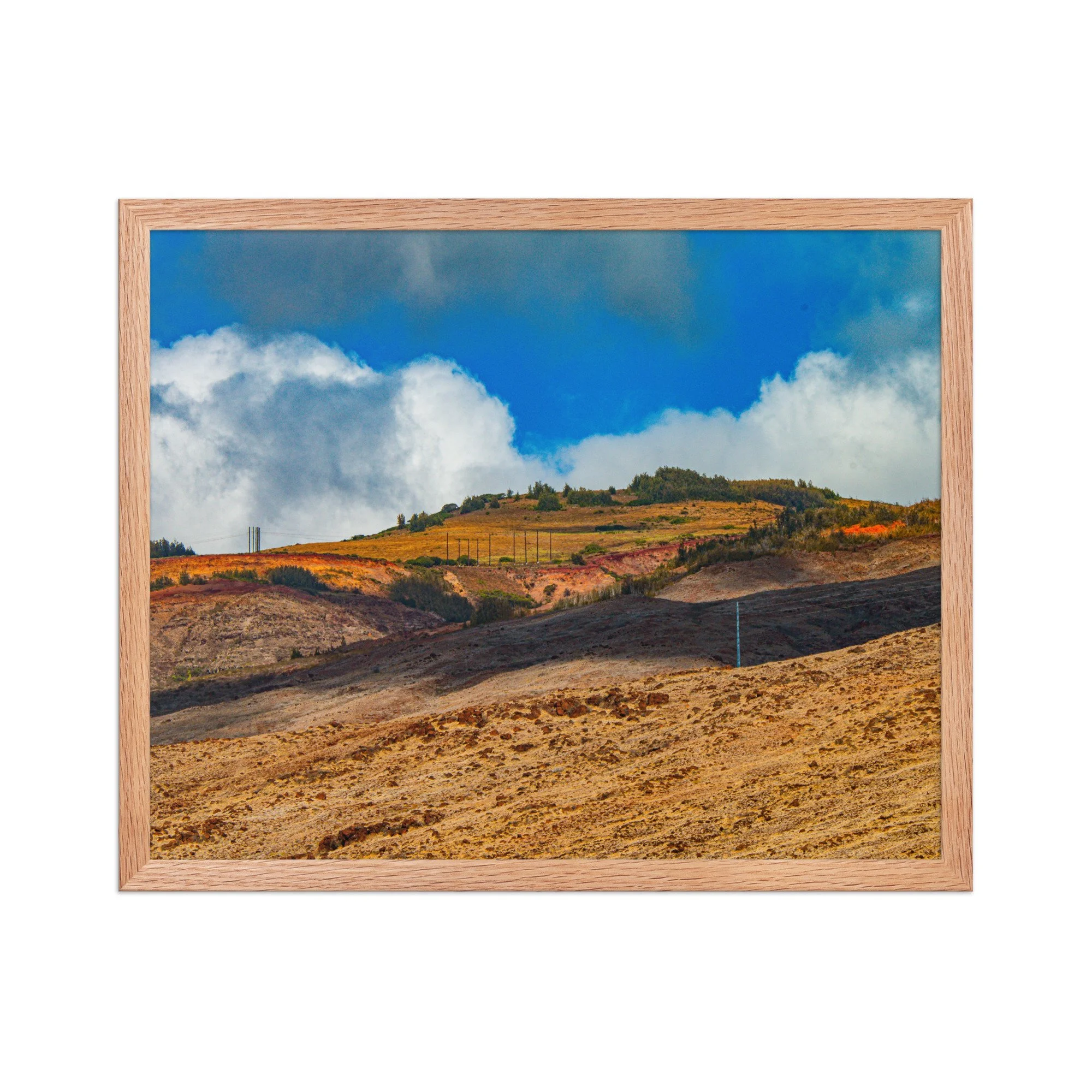enhanced-matte-paper-framed-poster-(in)-red-oak-16x20-front-68bce22480065.jpg