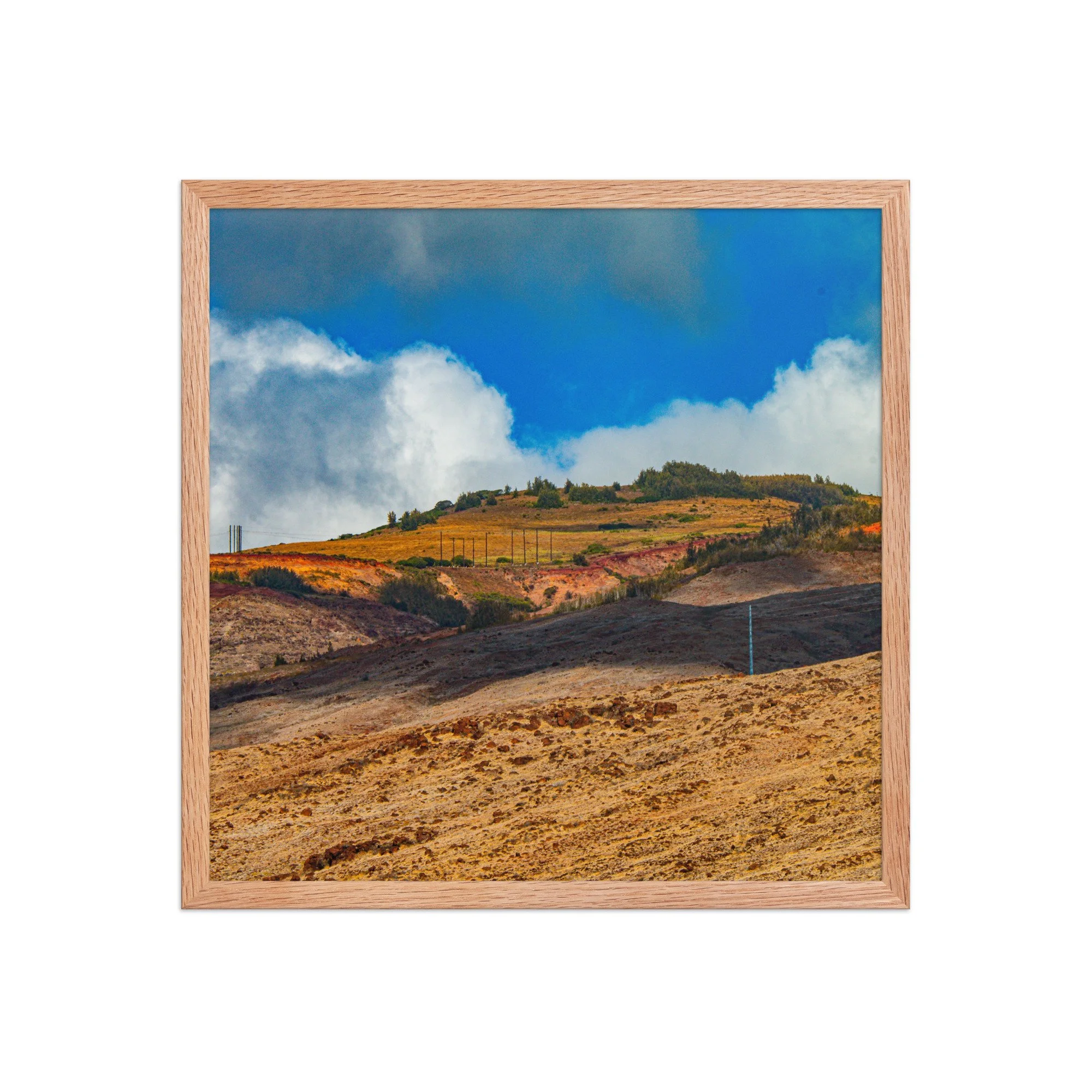 enhanced-matte-paper-framed-poster-(in)-red-oak-18x18-front-68bce224800f1.jpg