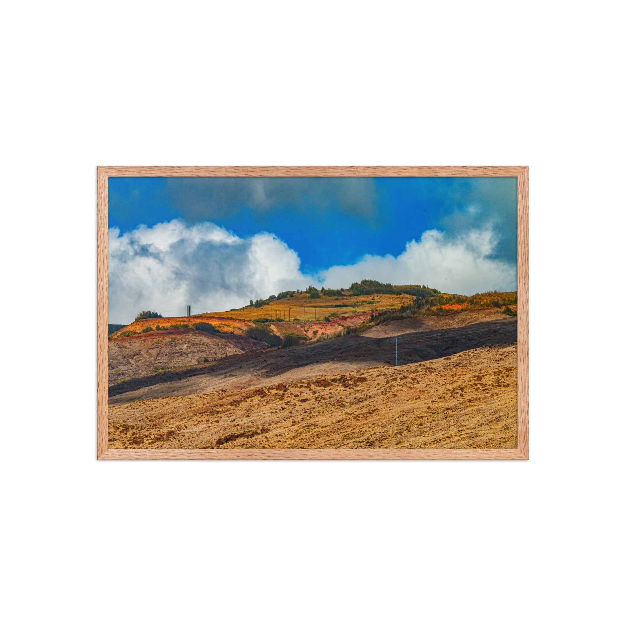 enhanced-matte-paper-framed-poster-(in)-red-oak-20x30-front-68bce22480224.jpg