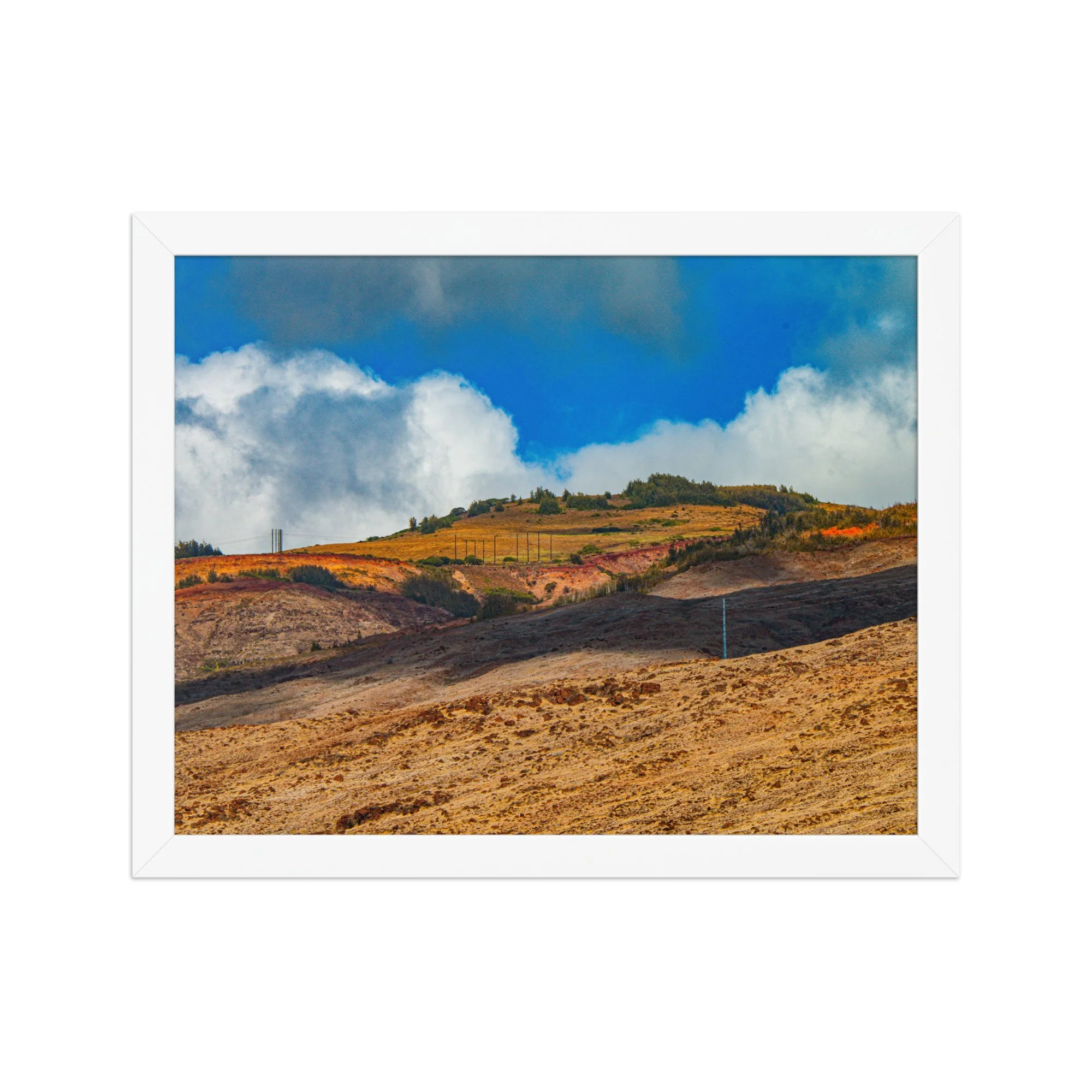 enhanced-matte-paper-framed-poster-(in)-white-11x14-front-68bce2248041a.jpg