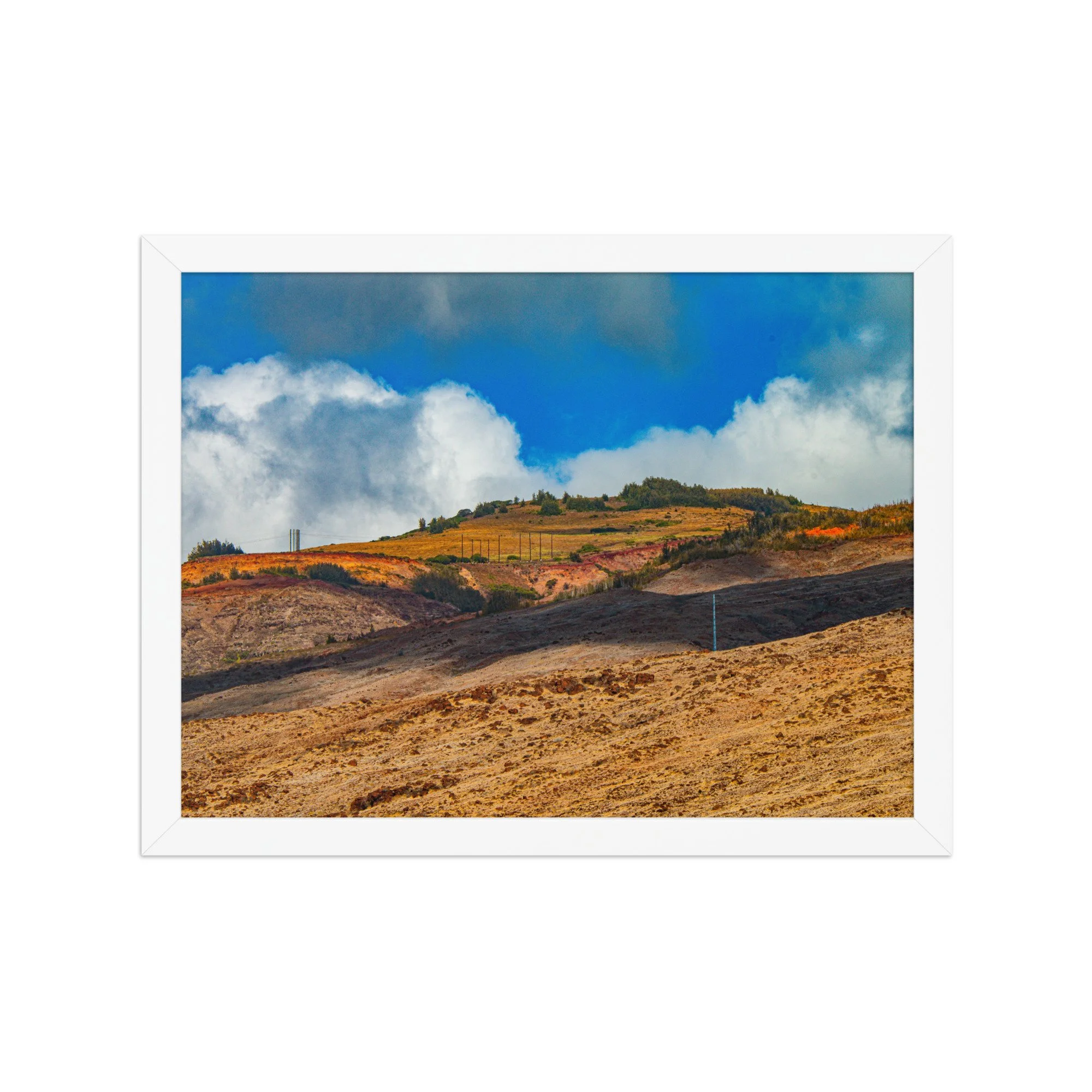 enhanced-matte-paper-framed-poster-(in)-white-12x16-front-68bce22480531.jpg