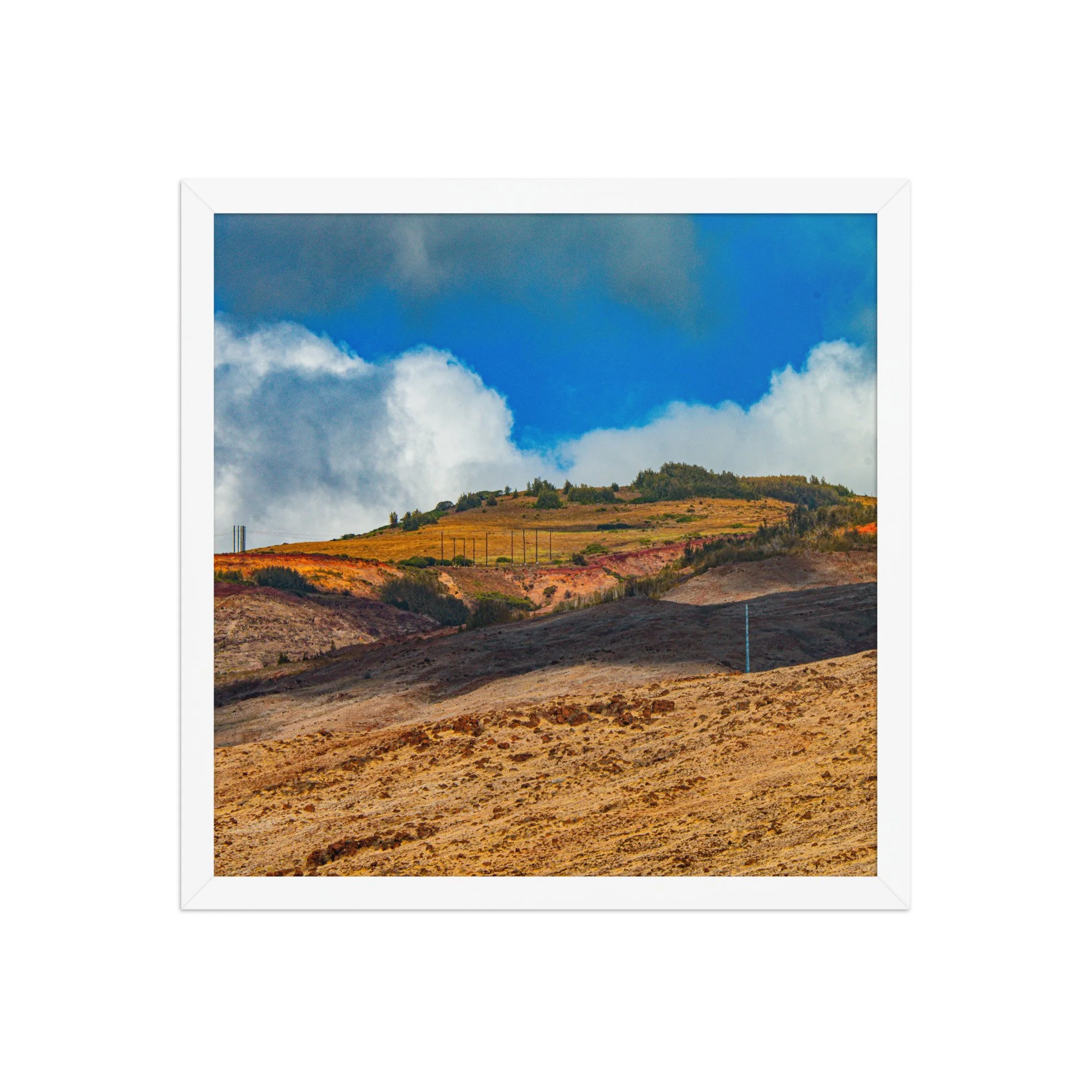enhanced-matte-paper-framed-poster-(in)-white-16x16-front-68bce224806dc.jpg