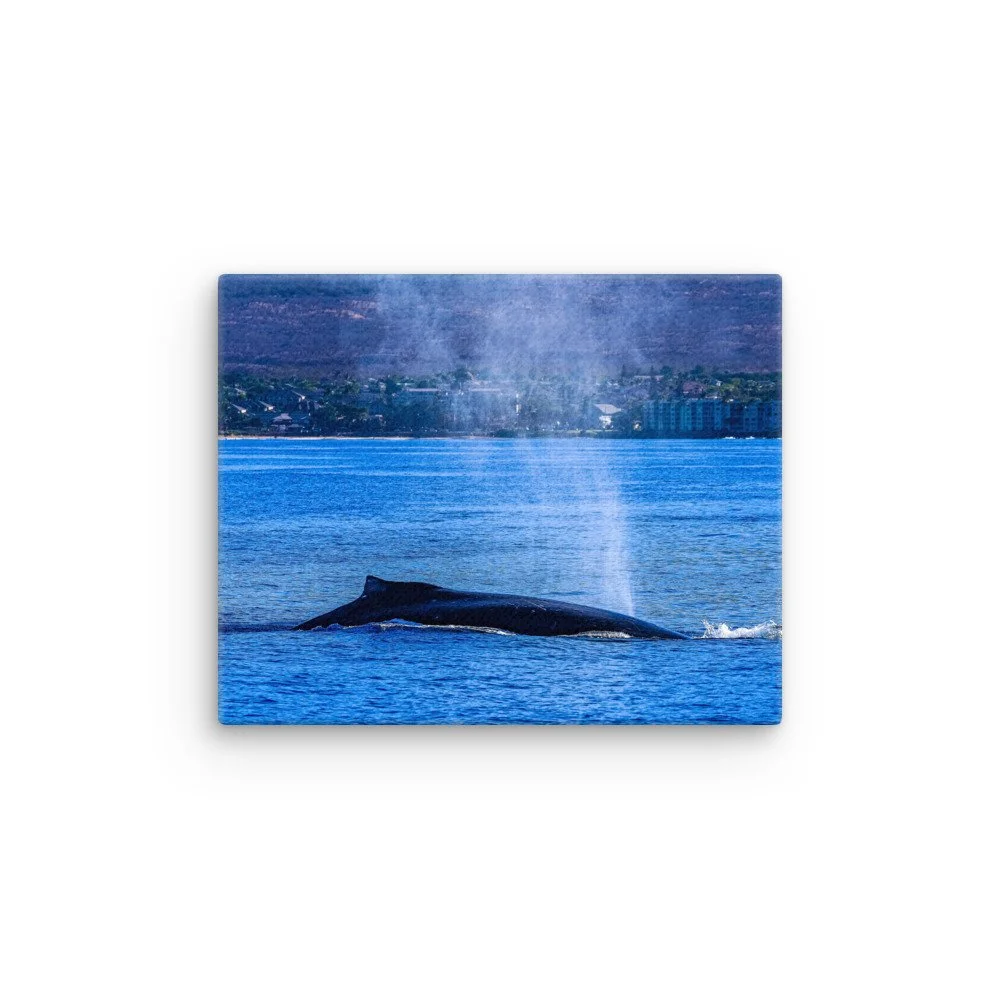thin-canvas-(in)-8x10-front-68bdc9f246dda.jpg