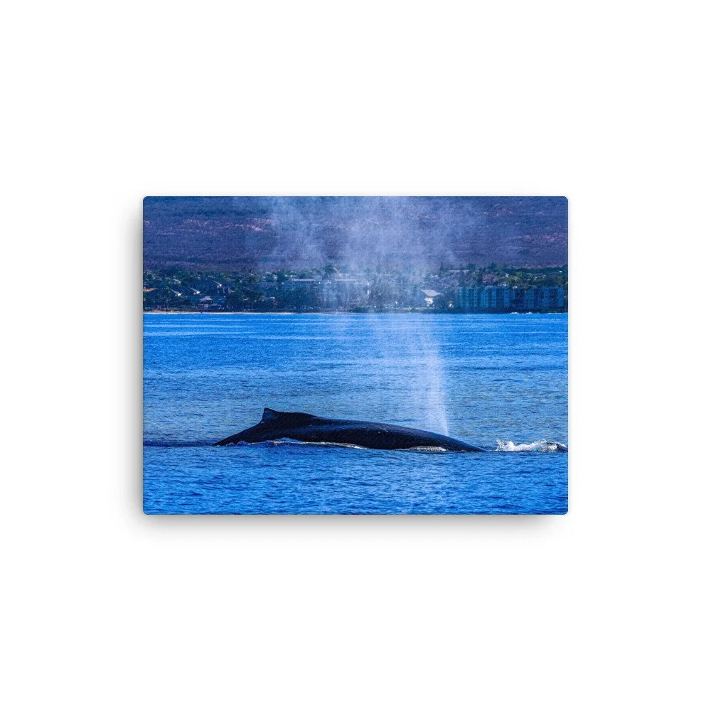 thin-canvas-(in)-9x12-front-68bdc9f246e7c.jpg