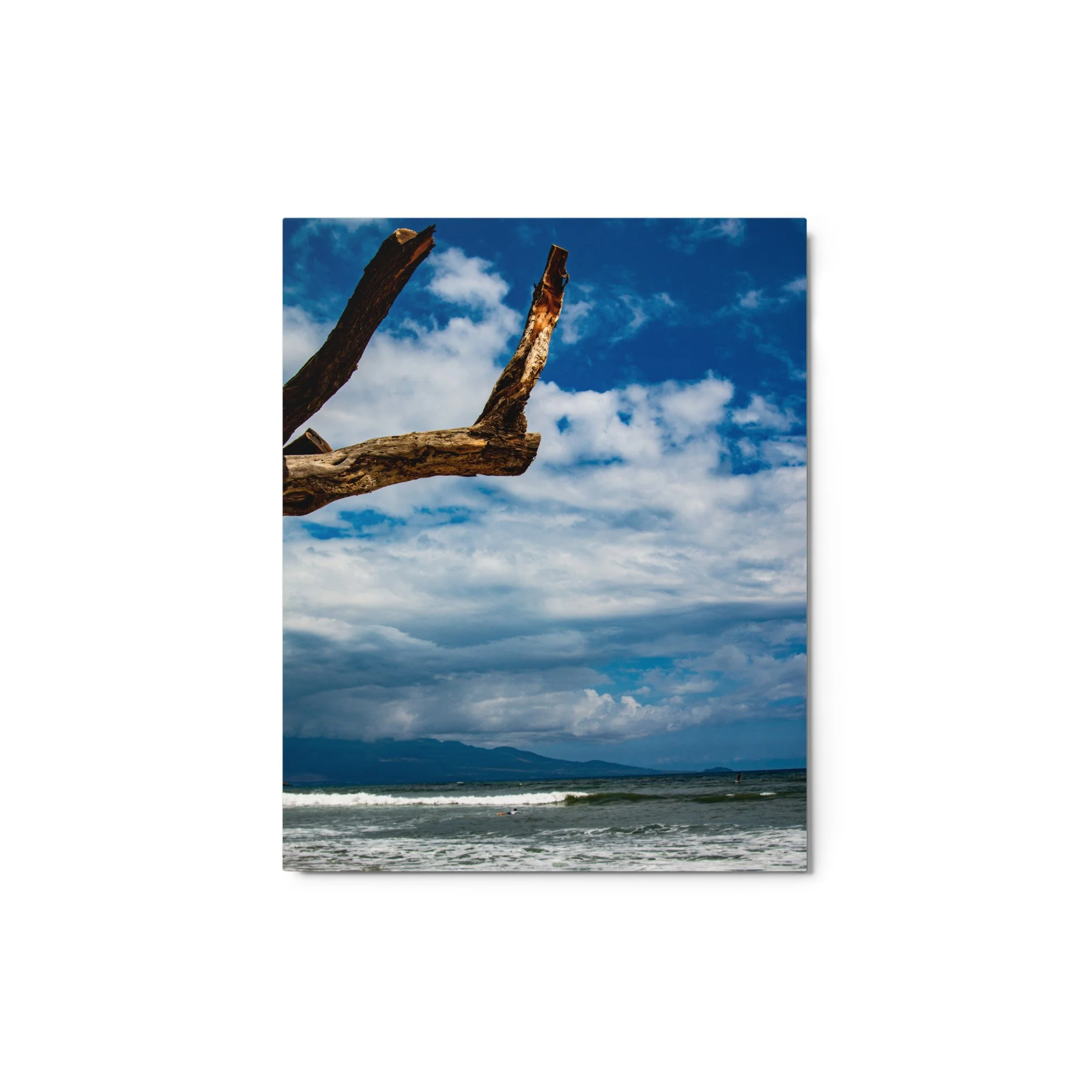 glossy-metal-print-(in)-white-8x10-front-68be6d4622c2b.jpg