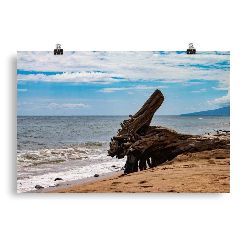 premium-luster-photo-paper-poster-(in)-20x30-transparent-68be70304d138.jpg