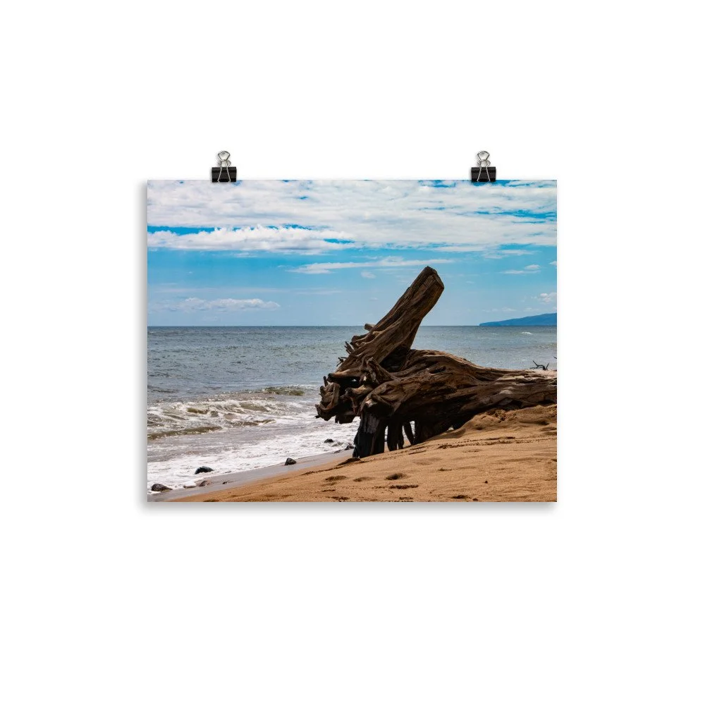 premium-luster-photo-paper-poster-(in)-11x14-transparent-68be70304d9c1.jpg