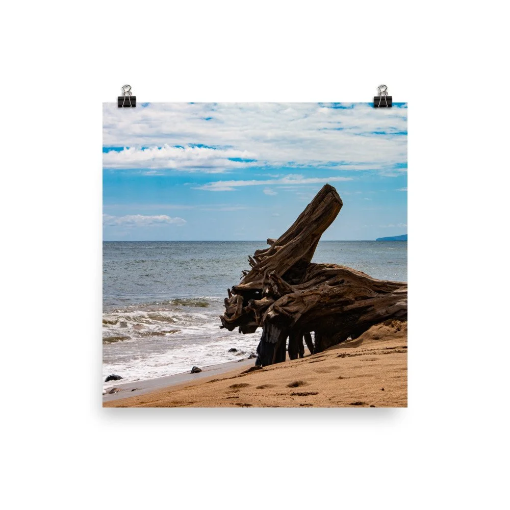 premium-luster-photo-paper-poster-(in)-12x12-transparent-68be70304da73.jpg
