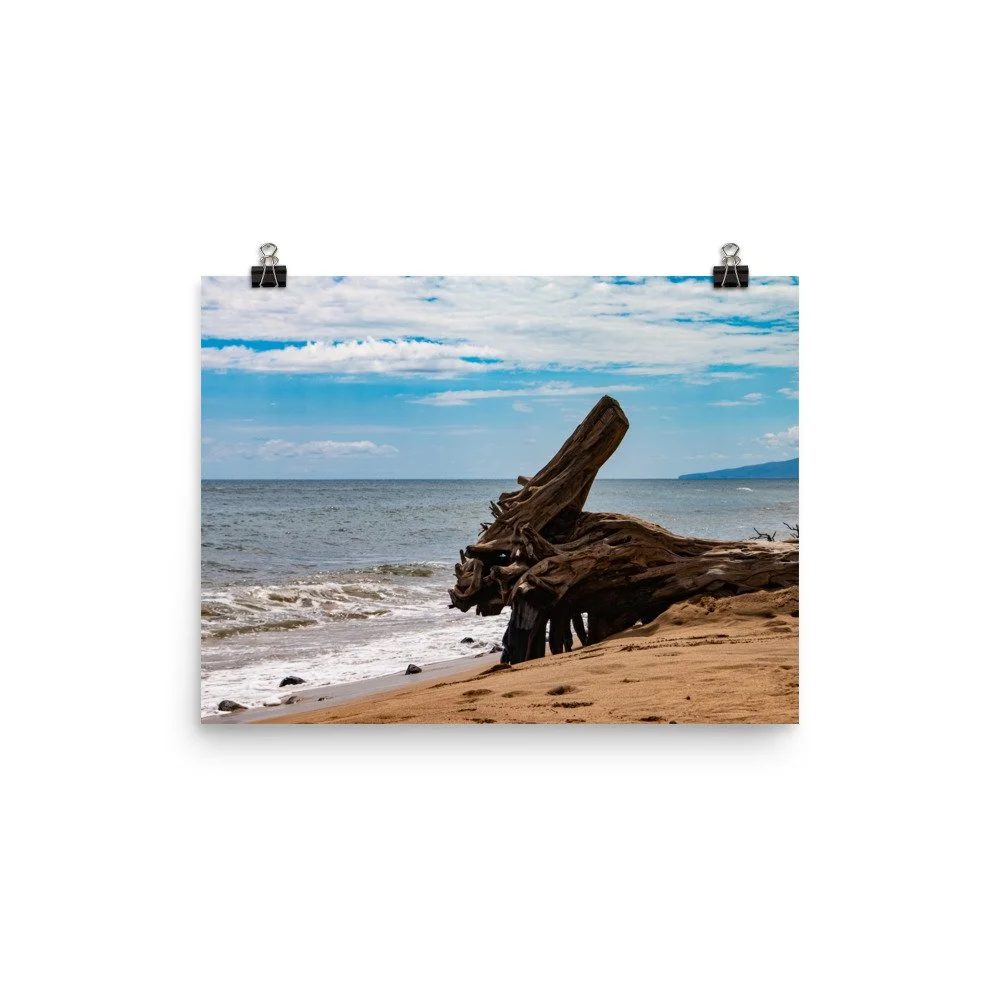 premium-luster-photo-paper-poster-(in)-12x16-transparent-68be70304db17.jpg