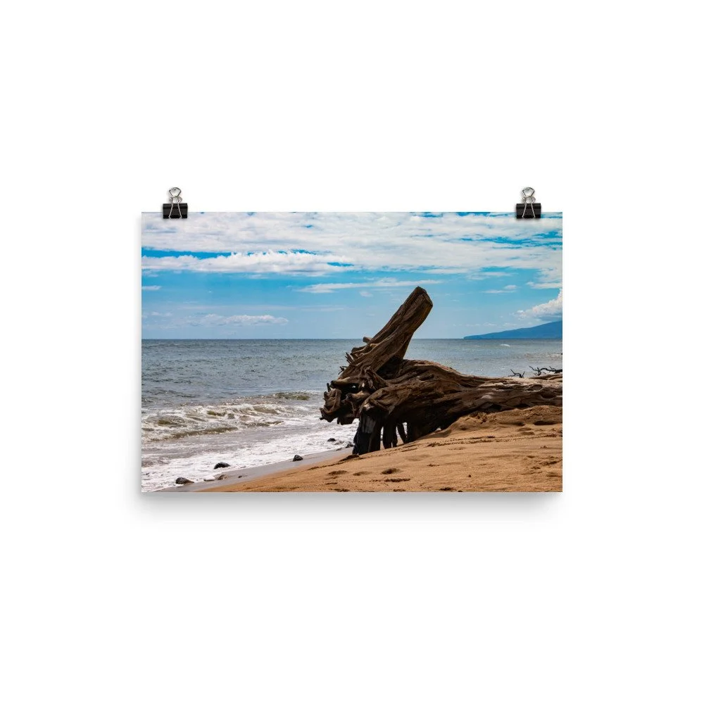 premium-luster-photo-paper-poster-(in)-12x18-transparent-68be70304dbb6.jpg