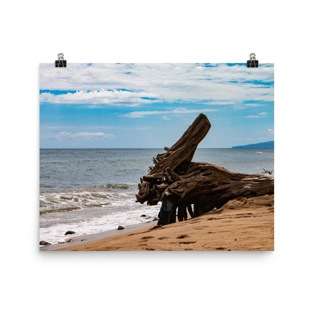 premium-luster-photo-paper-poster-(in)-16x20-transparent-68be70304dce9.jpg