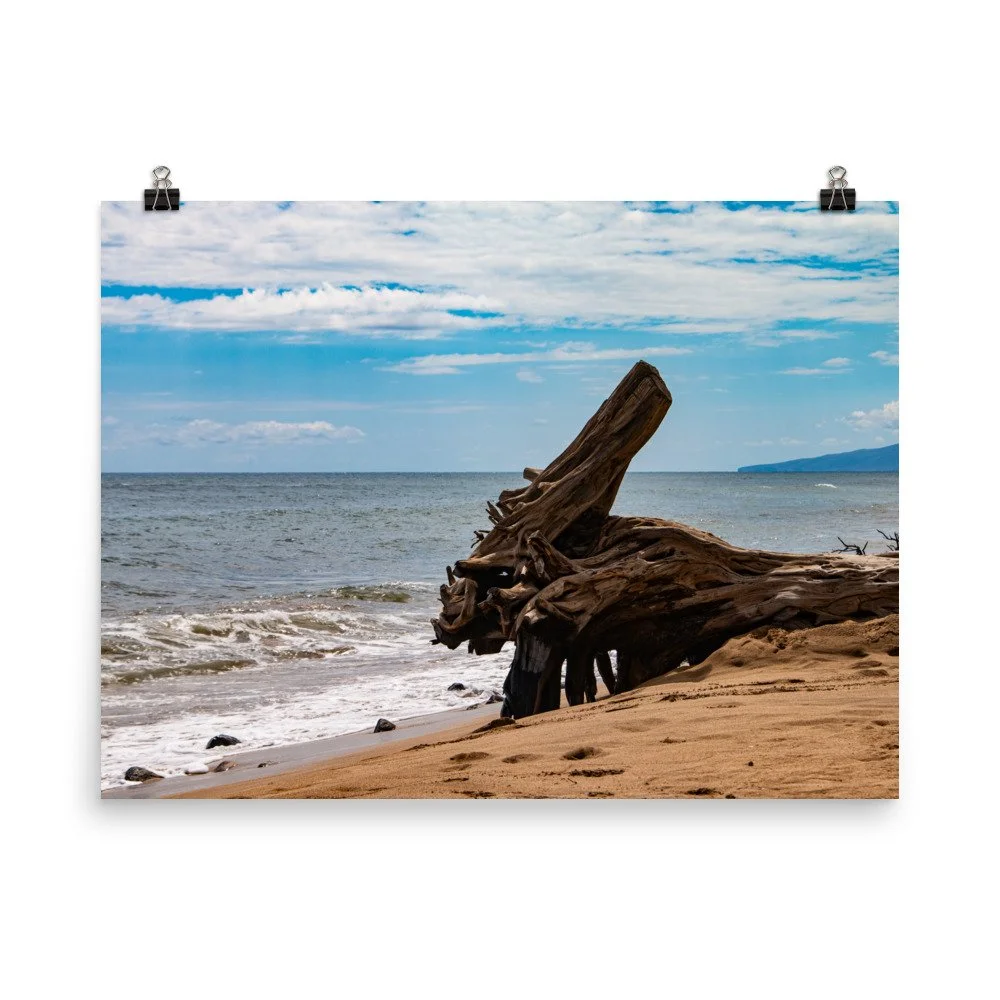 premium-luster-photo-paper-poster-(in)-18x24-transparent-68be70304dd84.jpg
