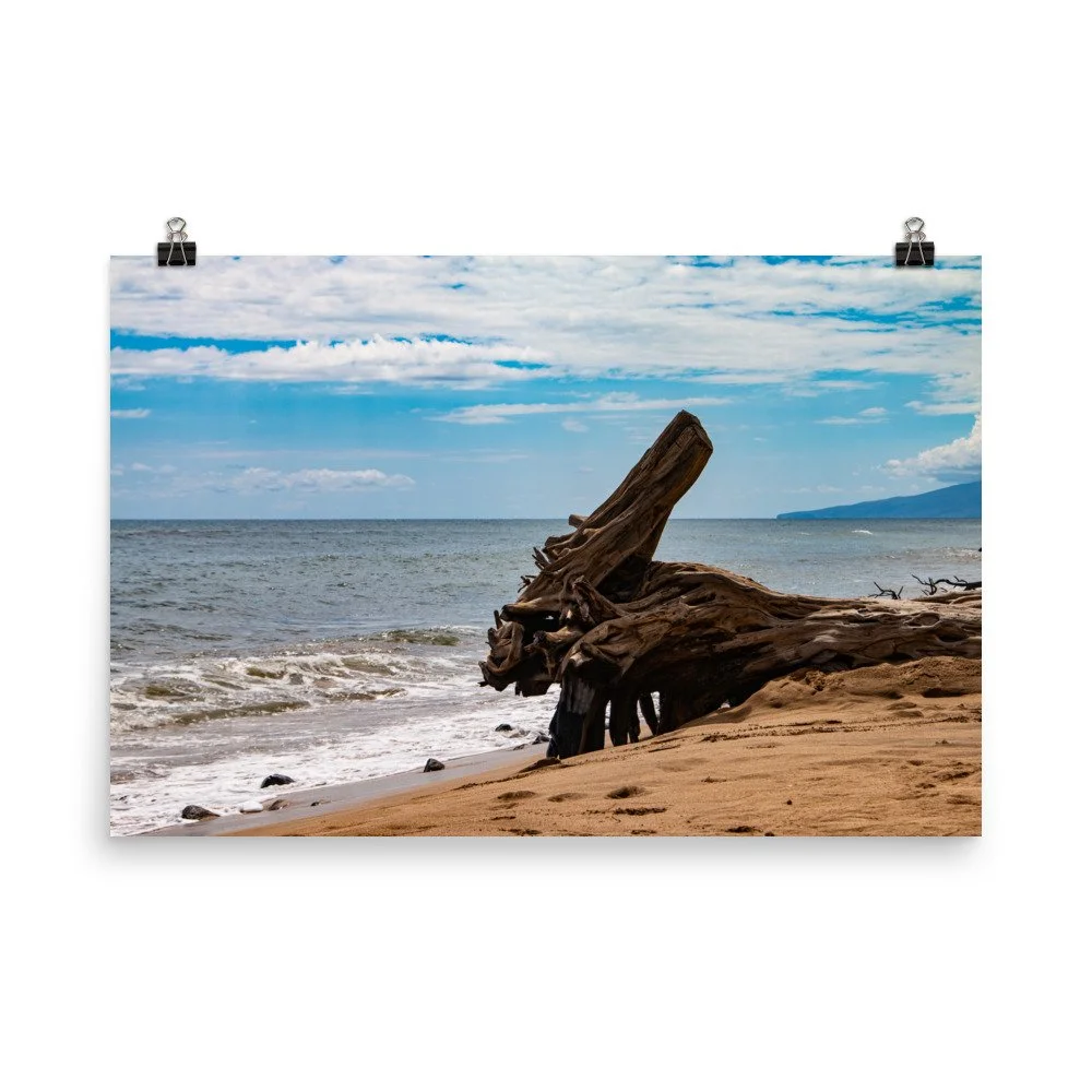 premium-luster-photo-paper-poster-(in)-24x36-transparent-68be70304de20.jpg
