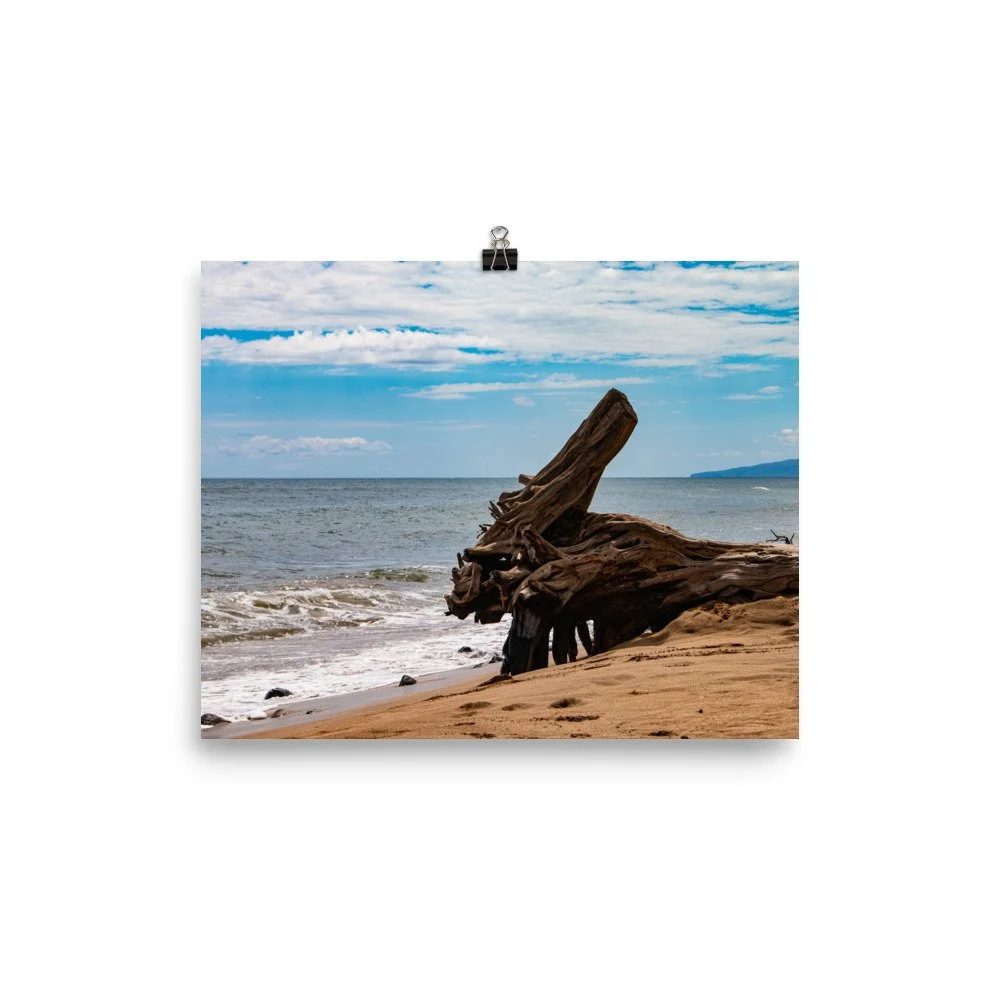 premium-luster-photo-paper-poster-(in)-8x10-transparent-68be70304def0.jpg