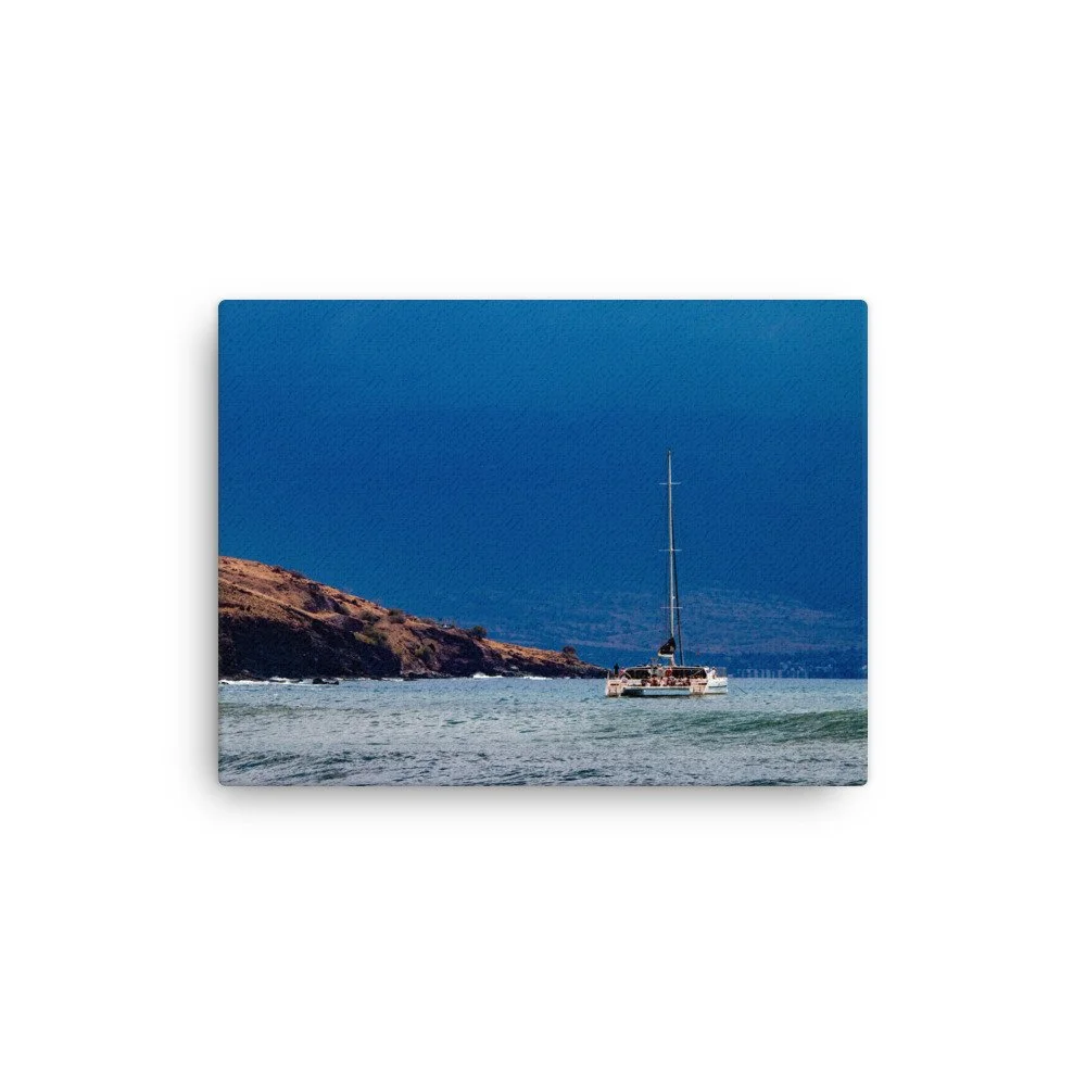 thin-canvas-(in)-12x16-front-68be737309f3b.jpg